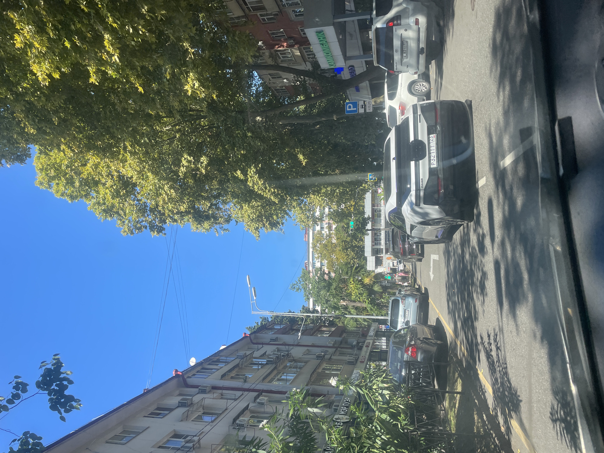 The image depicts a street scene in Sochi, Russia, on a clear day under a bright blue sky. The viewpoint appears to be from inside a vehicle, looking forward through the windshield. The street is paved and marked with yellow and white lines. Several vehicles are visible on the road, including a white futuristic-looking car in the foreground, a white SUV, and a dark-colored sedan.
On the left side of the street, a multi-story building with numerous windows and air conditioning units lines the road. Green foliage and trees are present along the sidewalk. On the right side of the street, large deciduous trees with green leaves dominate the scene, casting shadows on the road. Another multi-story building, partially visible, is situated behind the trees, and a sign with "КАМКОМБАНК" in green letters is prominent on its facade. A blue parking sign with P and numbers is also visible on the right side of the street.
Streetlights and traffic signals are present, indicating an urban environment. The overall impression is of a busy street in a city with a significant amount of greenery.