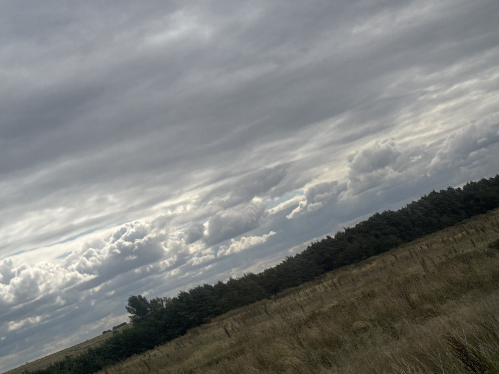 The image depicts a landscape scene with a cloudy sky and a sloping hill covered in dry grass and vegetation. A line of dark green trees runs along the crest of the hill. The sky is filled with a variety of clouds, ranging from dark, heavy masses to lighter, more wispy formations. The overall impression is one of a natural, undeveloped area. The location is stated to be in the city of Novosergiyevka, Russia.