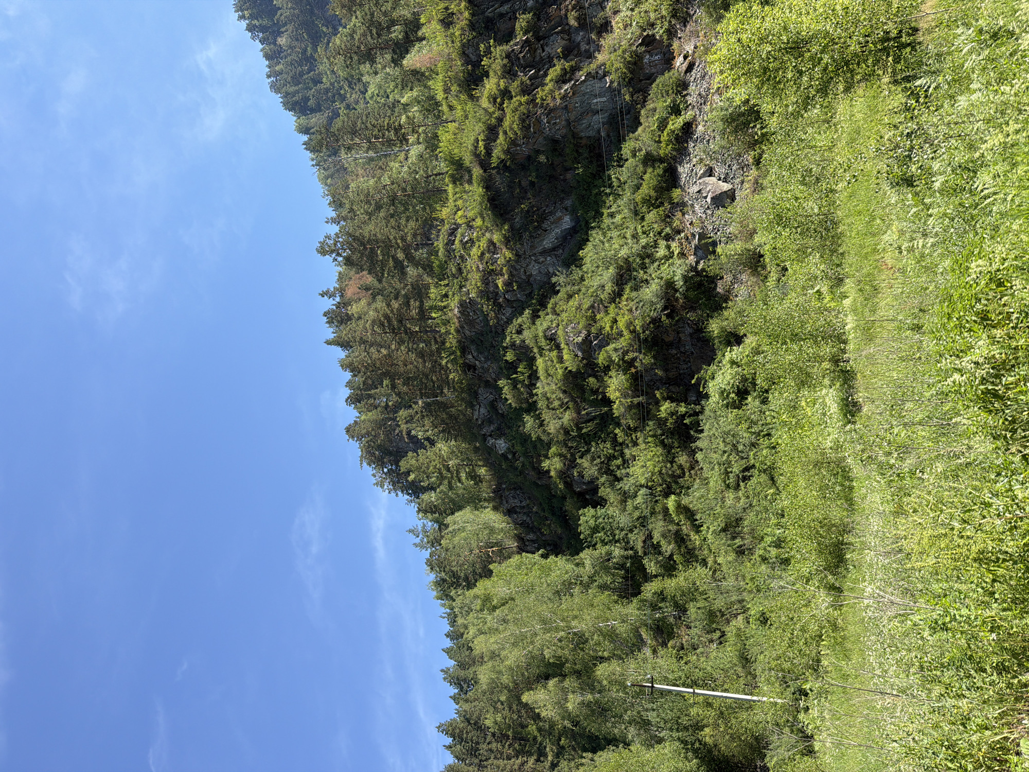 A mountainous landscape with a steep, rocky slope covered in lush green vegetation and trees under a clear blue sky. In the foreground, a field of tall grass and smaller bushes stretches across the bottom of the frame. A single, white utility pole with wires is visible on the left side of the image. The rocky slope rises sharply, with trees and dense foliage growing from its crevices and along its crest. The overall scene depicts a natural, undeveloped environment. The location is identified as being in Ust'-Muny, Russia.