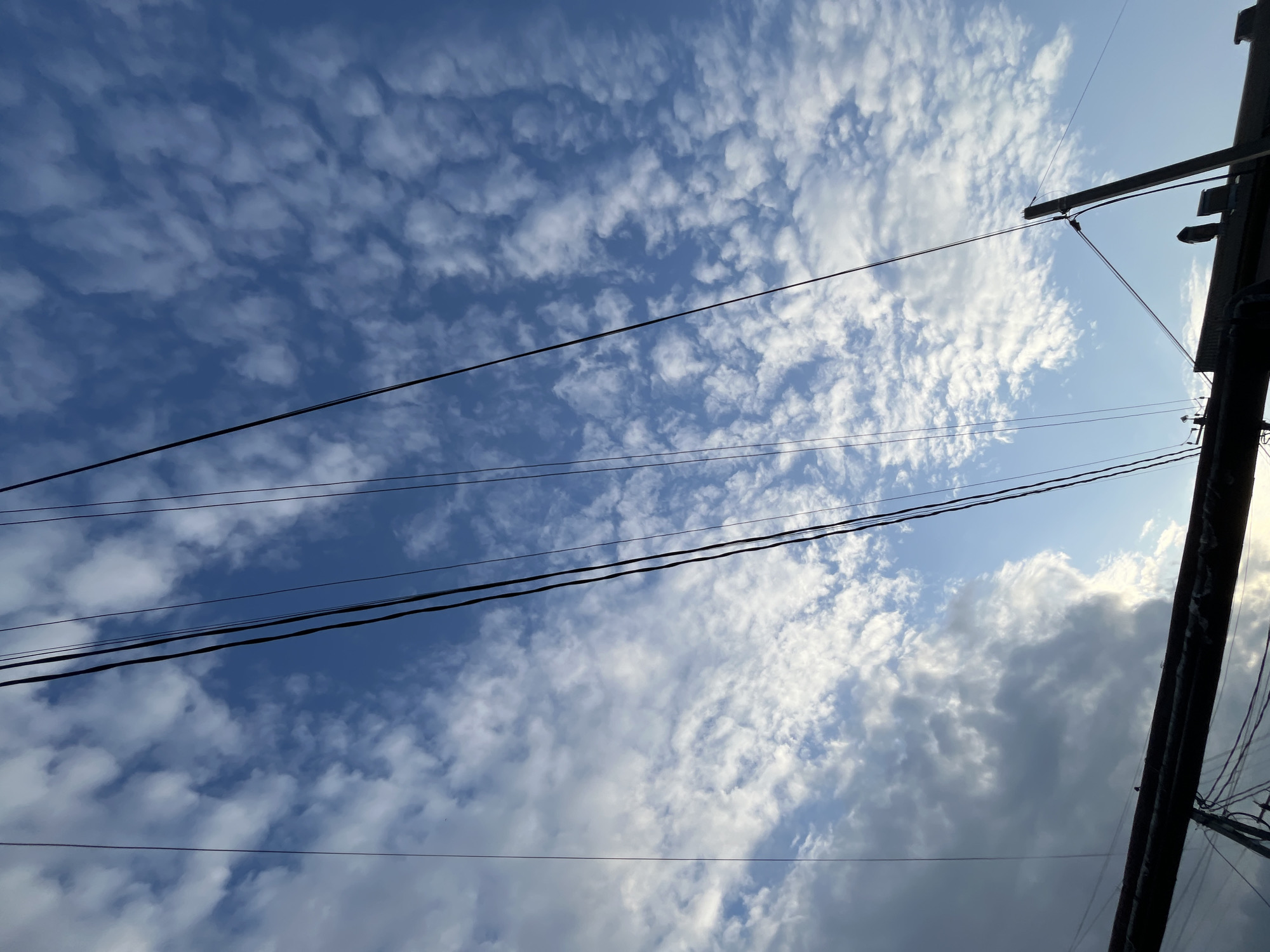 The image displays a bright, cloudy sky with a clear blue sky peeking through in some areas. Wispy white clouds, characteristic of altocumulus formations, are scattered across the frame. A few darker, more substantial clouds are visible towards the bottom right, suggesting a dynamic weather pattern.
Several dark power lines stretch horizontally across the sky, intersecting at various points. These lines suggest an outdoor, possibly urban or suburban, setting. A portion of a wooden utility pole with attached electrical components is visible on the right side of the image, further indicating infrastructure for power distribution.
The lighting suggests it is daytime, with the sun likely positioned to create the bright illumination of the clouds. The overall mood is neutral, focusing on the atmospheric conditions and the man-made elements of the power lines against the natural backdrop of the sky. No people or specific text are discernible in the image. The setting is implied to be outdoors, likely in an area with overhead power lines, which aligns with the provided location context of Nikolskoye, Russia.