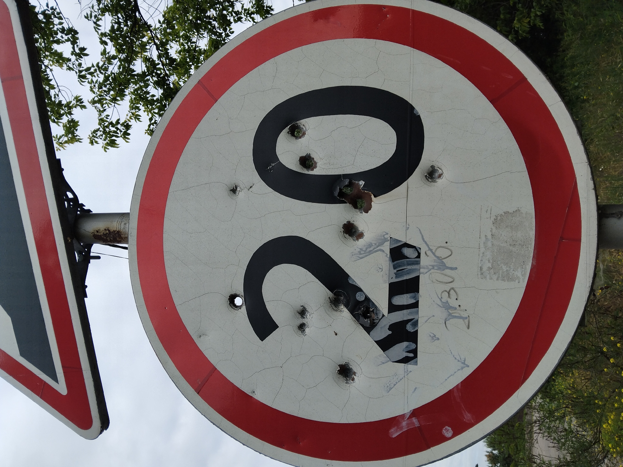 A circular speed limit sign, showing "20", is mounted on a metal pole. The sign has a red border and is white in the center. There are numerous bullet holes visible in the sign, with some debris and vegetation protruding through the holes. The sign is cracked and appears to be aged. Above the speed limit sign, a triangular warning sign with red, white, and gray elements is partially visible. The background shows a cloudy sky and green trees. The image is taken outdoors, with the ground covered in grass and some yellow wildflowers. The overall scene suggests a damaged sign in an outdoor environment, possibly in an area affected by conflict, as indicated by the bullet holes. The location is identified as Kyiv, Ukraine.