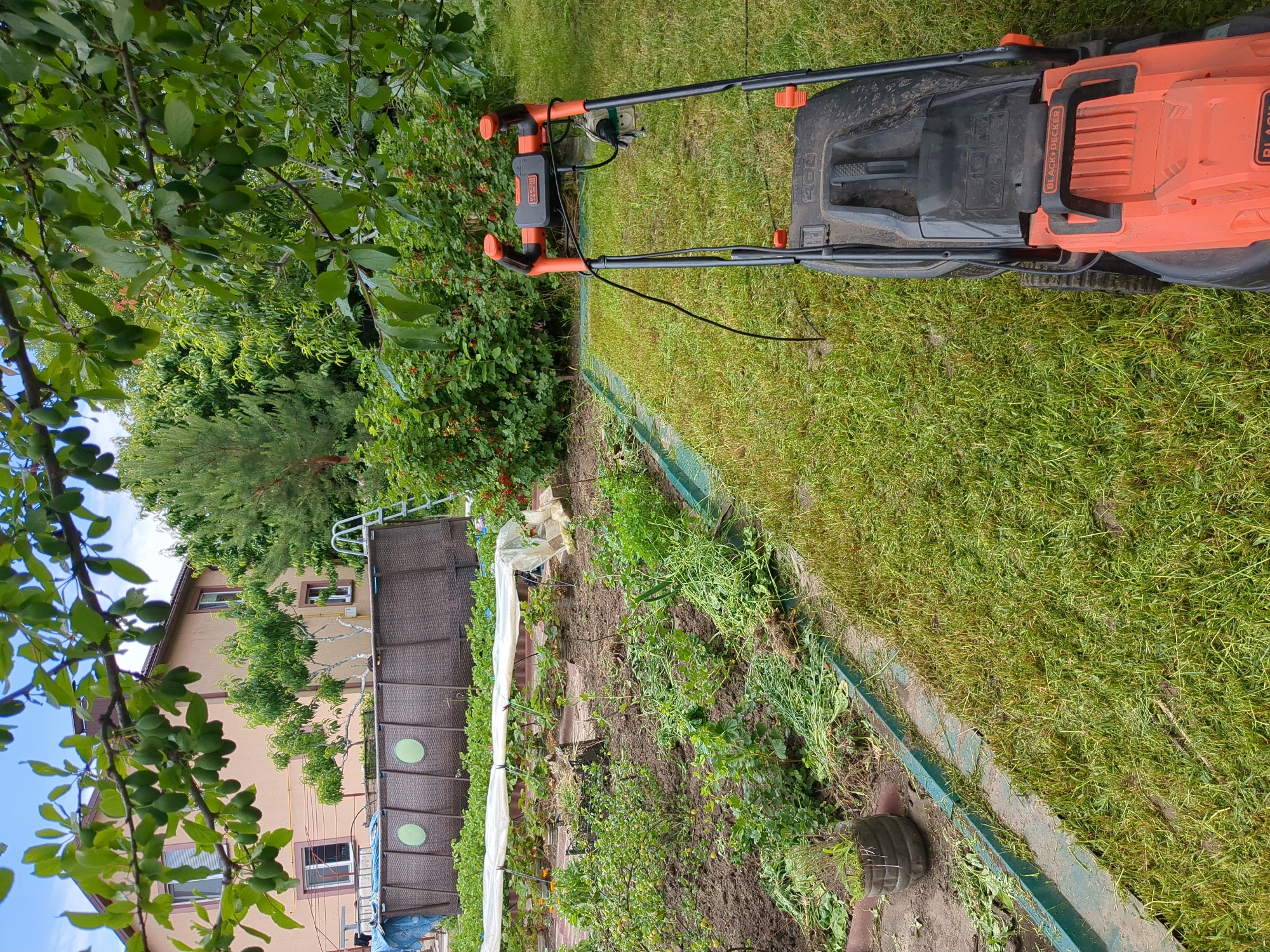 An overhead shot shows a Black & Decker electric lawnmower with orange trim on a patch of freshly cut, slightly wet grass. Behind the lawnmower, a dark brown above-ground swimming pool with circular accents is visible, partially covered by a blue tarp. A metal ladder leans against the side of the pool. In the background, a two-story building with a pale pink facade is situated among lush green trees and dense foliage. The foreground displays a garden area with raised beds covered by white plastic sheeting, some of which appear to be for growing strawberries. Various plants, including bushes with red berries and unidentifiable greenery, are scattered throughout the garden. The scene is set outdoors, under a bright, cloudy sky, likely in a residential area of Boryspil, Ukraine, given the architecture and garden style.