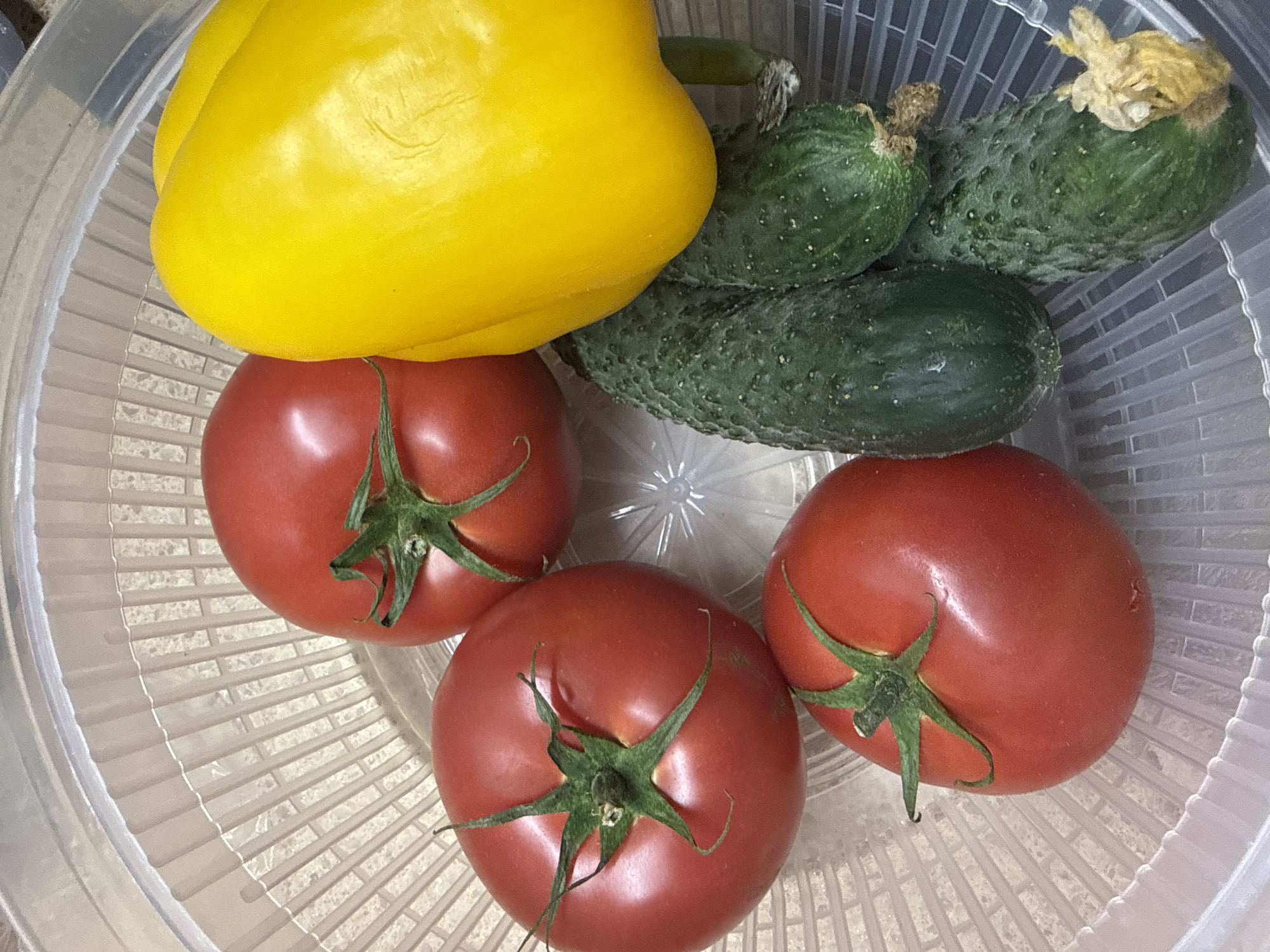 A top-down, close-up shot shows an assortment of fresh produce in a clear plastic container with a ridged interior. The container holds three ripe red tomatoes, each with a green stem and five points extending from the center. To the right of the tomatoes is a bright yellow bell pepper, its smooth, curved surface reflecting light. Nestled between the tomatoes and the bell pepper are three dark green cucumbers, each with a bumpy texture and visible stems or remnants of flowers. The background of the container is a light beige grid pattern.