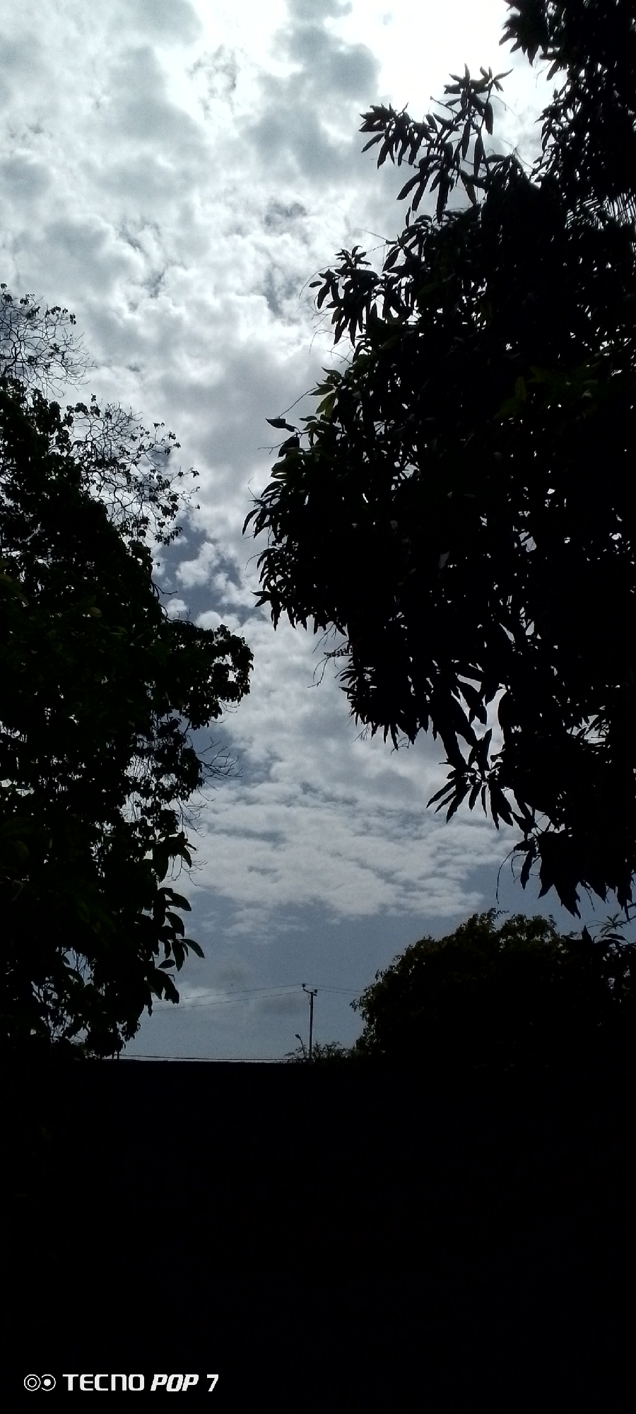 The image shows a silhouette of trees against a cloudy sky. In the lower portion of the image, a dark, solid object, possibly a wall or roofline, runs horizontally. Above this, a utility pole with a light fixture is visible. The sky is filled with various shades of gray and white clouds, suggesting an overcast or partly cloudy day. The bottom left corner of the image contains the text "TECNO POP 7" with a logo. The scene is devoid of any people or specific identifiable landmarks that would pinpoint the location in Altagracia, Venezuela.
