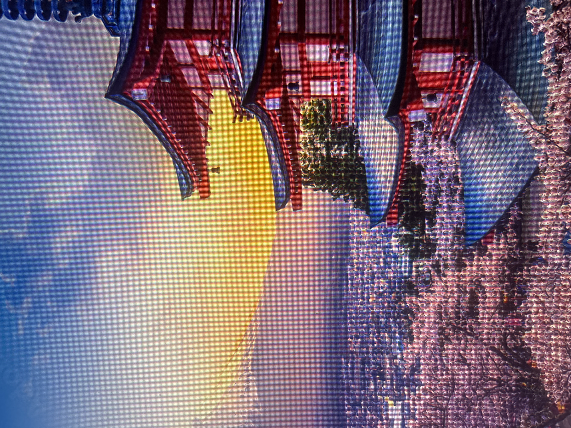 The image depicts a scene in Durmersheim, Germany, featuring a traditional Japanese-style building with red accents and dark blue roofing. The building appears to be adjacent to cherry blossom trees in full bloom. A cityscape stretches out beneath a golden sky, possibly at sunrise or sunset. The buildings are surrounded by pink flowers, trees, and foliage. The image is oriented sideways.