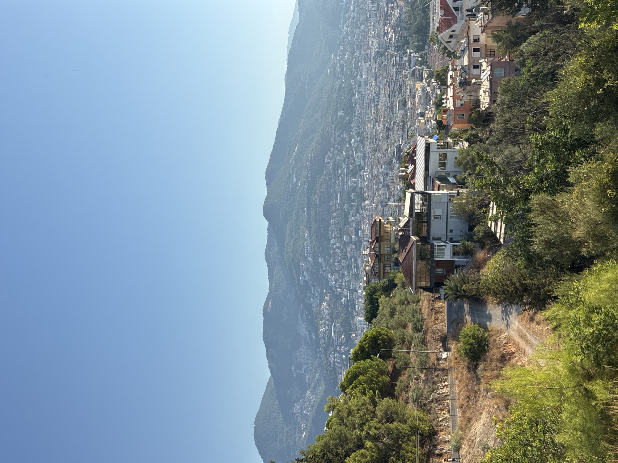 This image captures a panoramic view of Alanya, Turkey, from an elevated position. In the foreground, lush green trees and vegetation dominate, with a winding dirt road leading up a hillside. Several houses, some modern and others with more traditional tiled roofs, are nestled into the hillside. The mid-ground reveals a densely populated urban landscape stretching out towards the sea, characterized by a multitude of buildings with varied architectural styles and colors. In the background, a majestic mountain range looms, its slopes covered in greenery and dotted with scattered white structures, likely homes or buildings. The sky is a clear, vibrant blue, indicative of a sunny day. A person is visible walking on the road in the mid-left portion of the image. The overall scene depicts a harmonious blend of natural beauty and urban development.