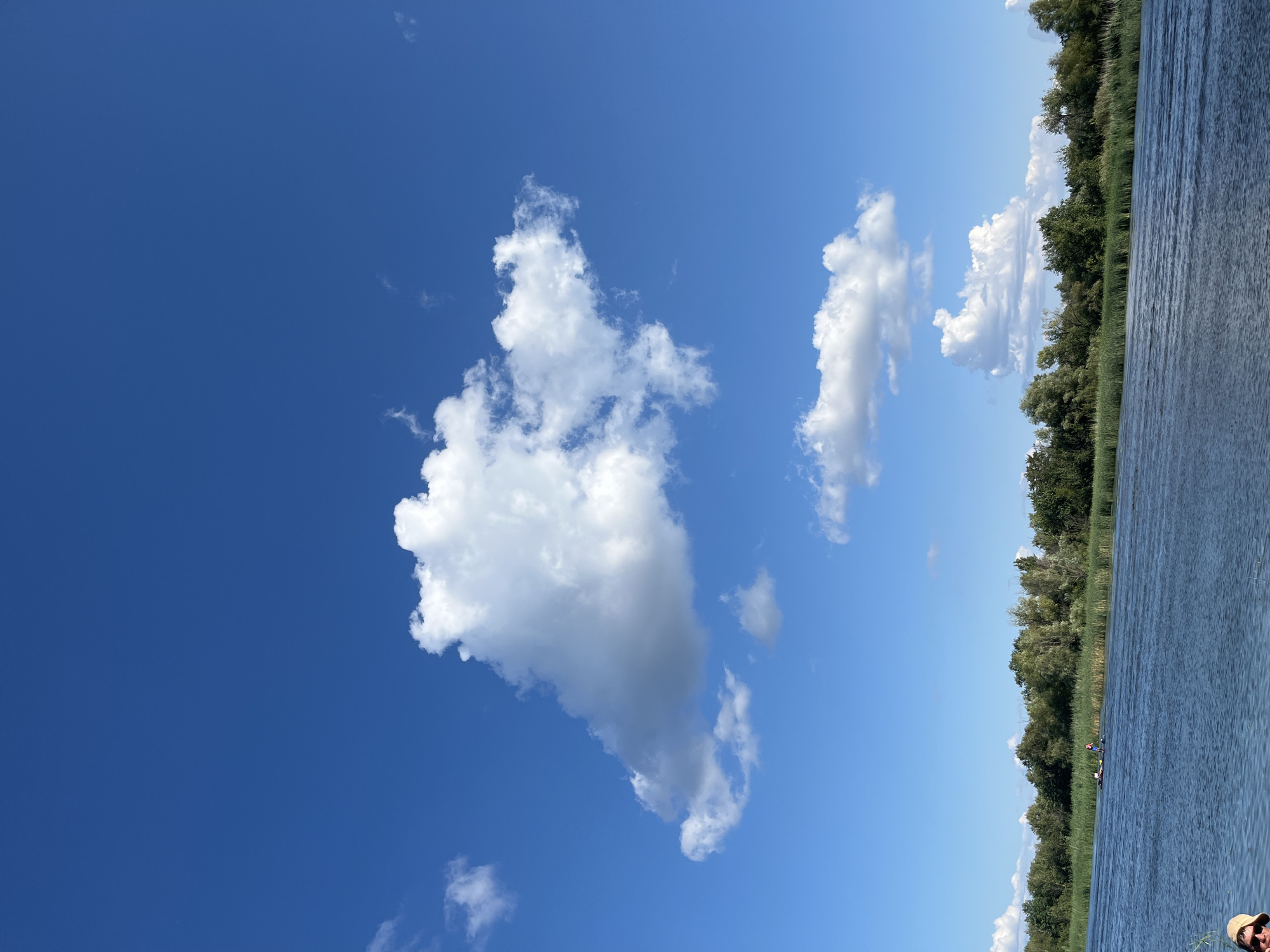 The image depicts a tranquil scene on a wide, calm river with lush green vegetation lining the opposite bank under a bright blue sky dotted with white cumulus clouds. In the foreground, a person wearing a tan sun hat and sunglasses is partially visible on the left, looking towards the water. The river is a deep blue-gray, with subtle ripples reflecting the sky. Further out on the water, two small boats can be seen. One is a stand-up paddleboard with a person on it, and another is a small, dark boat with at least two occupants. The distant bank is a dense band of trees and reeds, characteristic of a river ecosystem. The overall atmosphere is peaceful and suggests a recreational outing on a sunny day. The location is not explicitly identifiable as Saratov, Russia from the visual information alone.