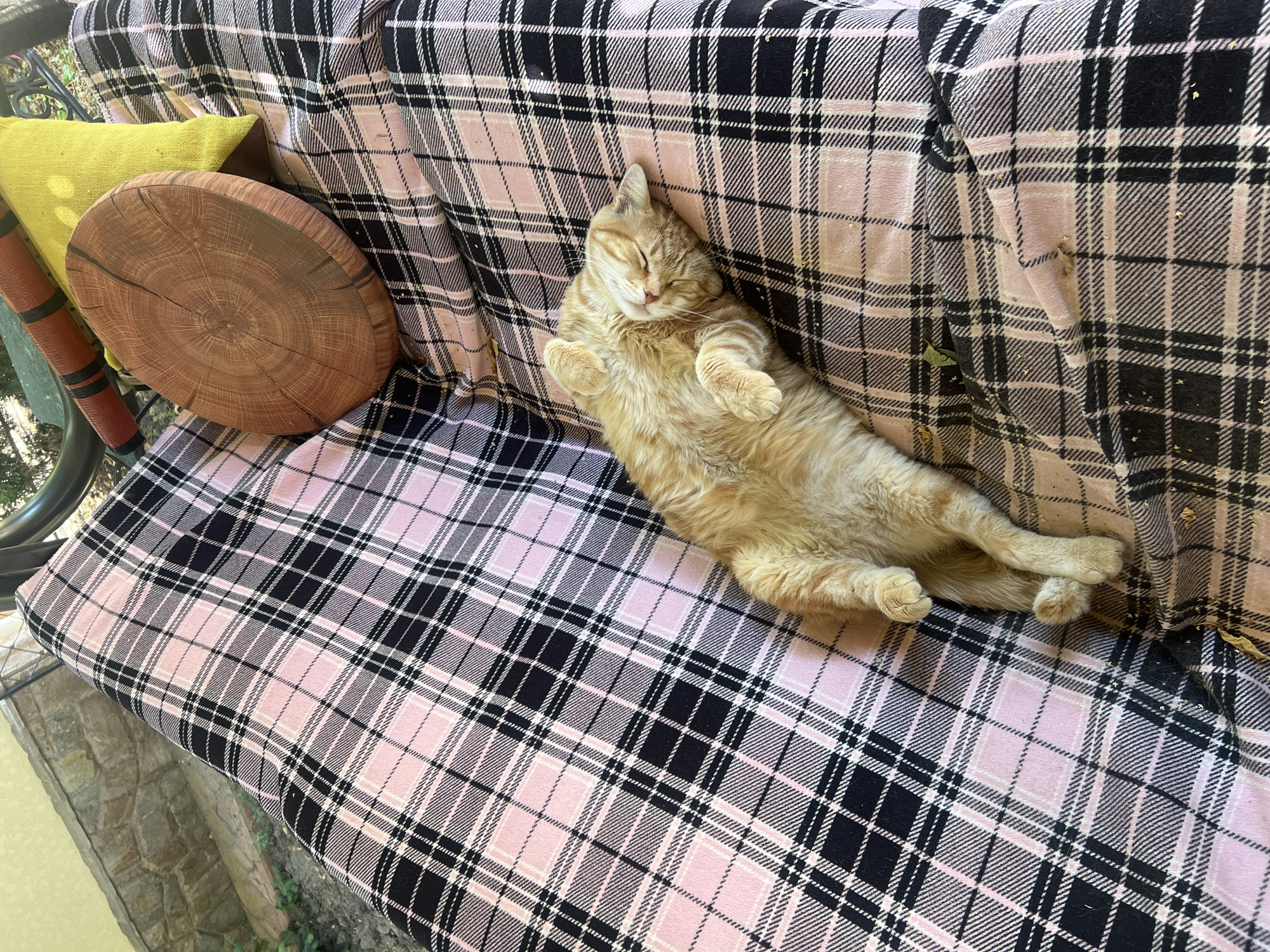 An orange tabby cat is sleeping on its back on a pink and black plaid blanket outdoors, possibly on a swing seat. To the cat's right, a yellow pillow is visible, and behind it is a wooden disc. The background shows a stone wall and some greenery, suggesting an outdoor setting in Bender, Moldova.