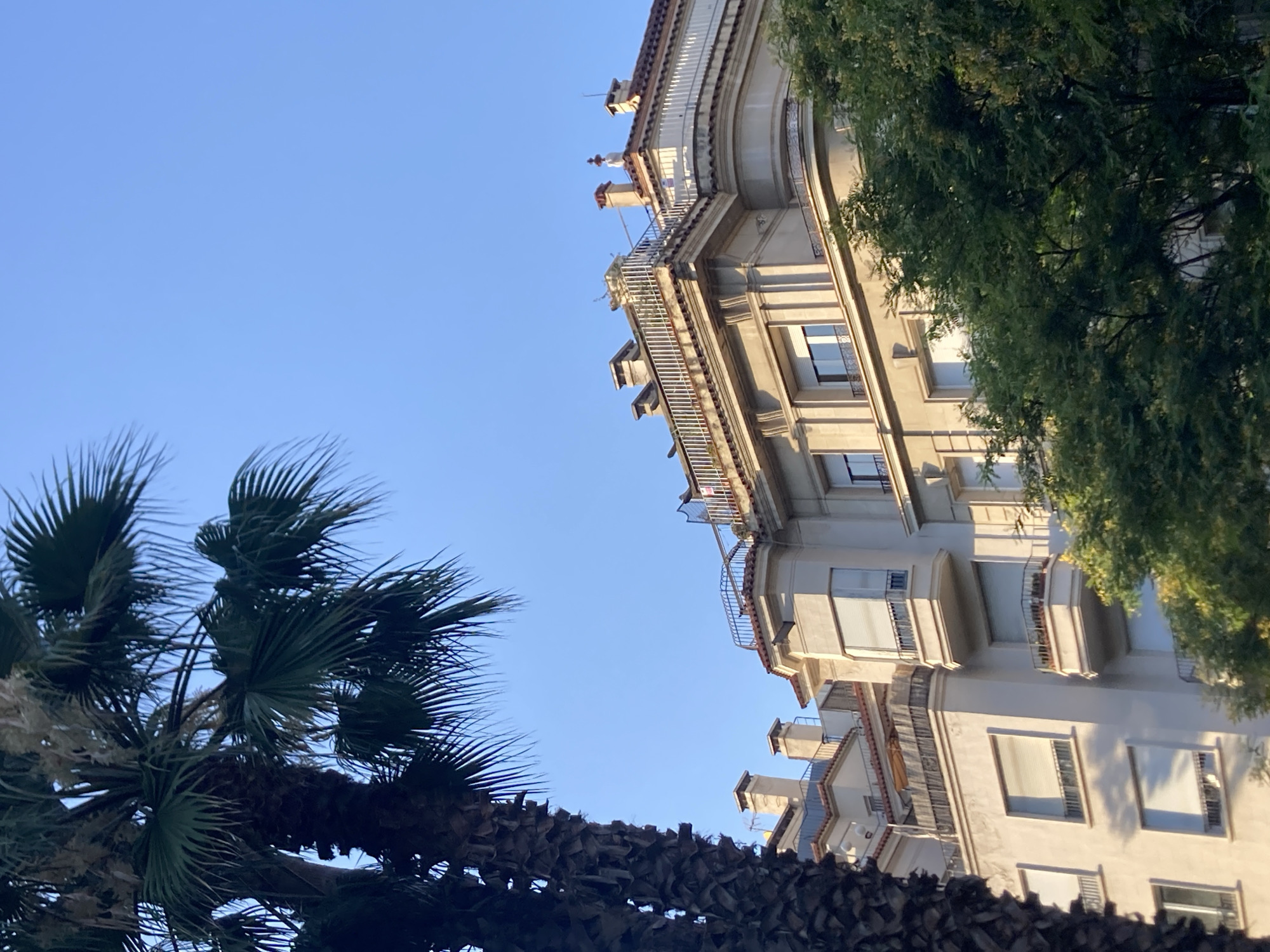 This media file shows a building with palm trees in Barcelona, Spain. The building is light-colored and appears to be multi-story, with balconies and windows. A large palm tree with dark, dry fronds is visible in the foreground, with its green fronds reaching upwards. A lush green tree with dense foliage is seen on the right side of the frame, partially obscuring the building. The sky is a clear, bright blue, suggesting it is daytime and the weather is fair. The low angle of the shot, looking up at the building and trees against the sky, creates a sense of grandeur and openness. The scene evokes a feeling of a warm, sunny day in a Mediterranean city. There is no visible text in the image.