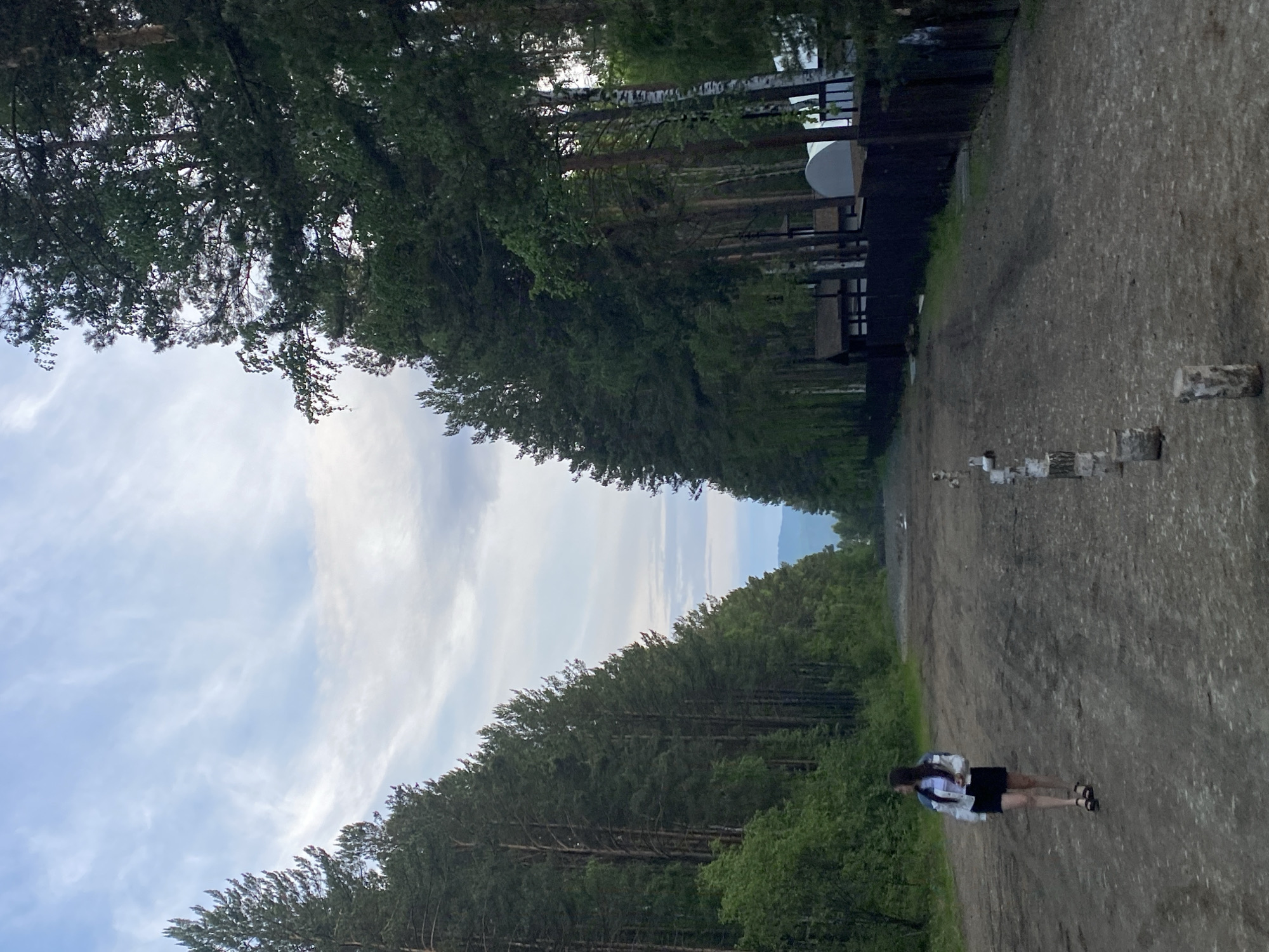 A young woman with long, dark hair is walking along a dirt road flanked by tall pine trees in the Museum of Wooden Architecture in Tal'tsy, Russia. She is wearing a white jacket over a white top and a black skirt. The road is unpaved and appears to be a natural path or a trail through the forest. There are several wooden posts lined up along the right side of the road. In the background, beyond the trees on the right, there are some wooden structures with dark roofs, and a dark fence. The sky above is cloudy with patches of blue.