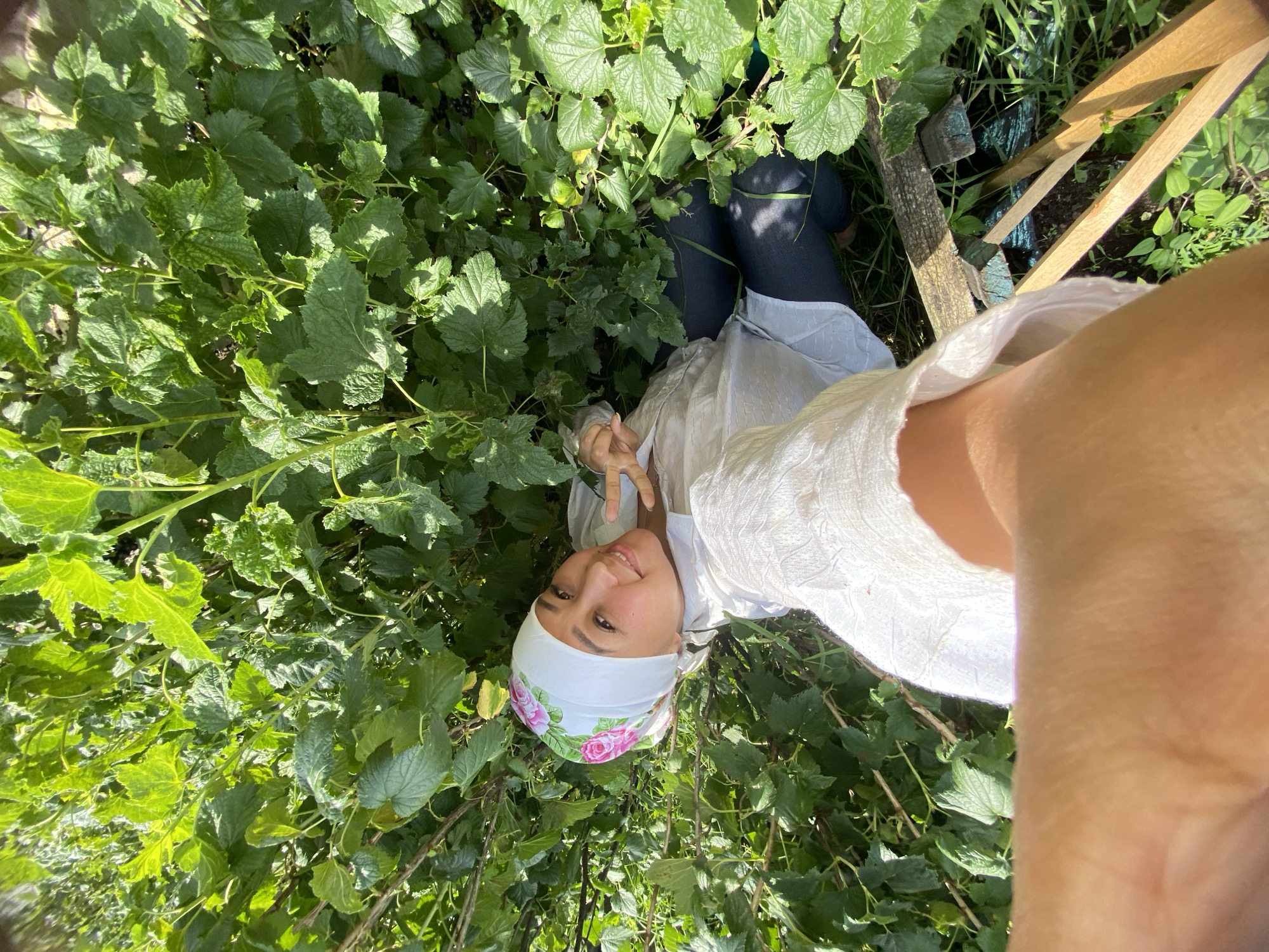 A woman in a white headscarf with a floral pattern is captured in a high-angle selfie from within lush green bushes. She is wearing a white shirt and dark pants. The woman is smiling and making a peace sign with her right hand. The scene appears to be an outdoor environment, likely a garden or a natural setting. The image quality is good, with clear focus on the woman and the surrounding foliage. The background is dominated by vibrant green leaves, indicating a healthy and abundant plant life. Some wooden structures are visible at the bottom of the frame, suggesting some form of garden infrastructure. The lighting suggests it is daytime with sunlight filtering through the leaves.