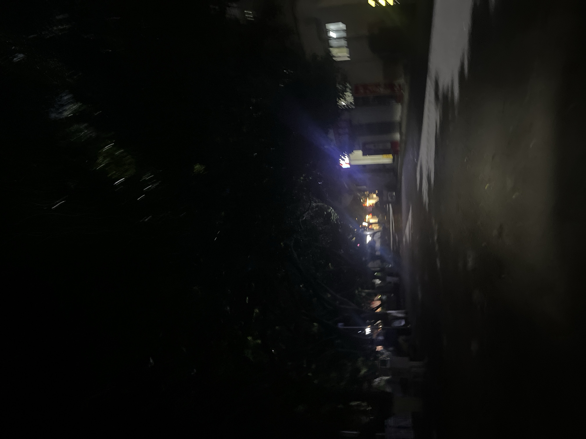 The image depicts a dimly lit urban street scene at night in Jiulongpo District, China. A tree-lined road or pedestrian path recedes into the background. The sky overhead is completely dark, heavily obscured by the dense, dark foliage of trees that form a canopy over the left side and partially over the right.
On the left side of the path, beneath the trees, several blurred human figures are visible, some appearing to stand, others moving, their forms indistinct due to the low light and motion blur. Further down this side, faint warm lights suggest the presence of establishments or stalls.
On the right side, a light-colored building is visible with several illuminated rectangular windows, casting a soft white glow. Adjacent to it, a brightly illuminated vertical sign with white lettering on a dark background is prominent; the letters "VIC" or "YIC" are somewhat discernible, with a red vertical element below. Further right, a yellowish, diagonally striped object or sign is partially visible.
The ground surface of the path or road is dark, with numerous reflective patches that suggest wet pavement or standing water, particularly noticeable on the right side where they catch ambient light. A faint beam of light extends onto the ground in the foreground, originating from an unseen source near the camera's perspective. The overall environment is one of an active street at night, illuminated by scattered artificial light sources, with a strong presence of natural foliage. Specific street names or precise locations within Jiulongpo District are not discernible from the visual information.