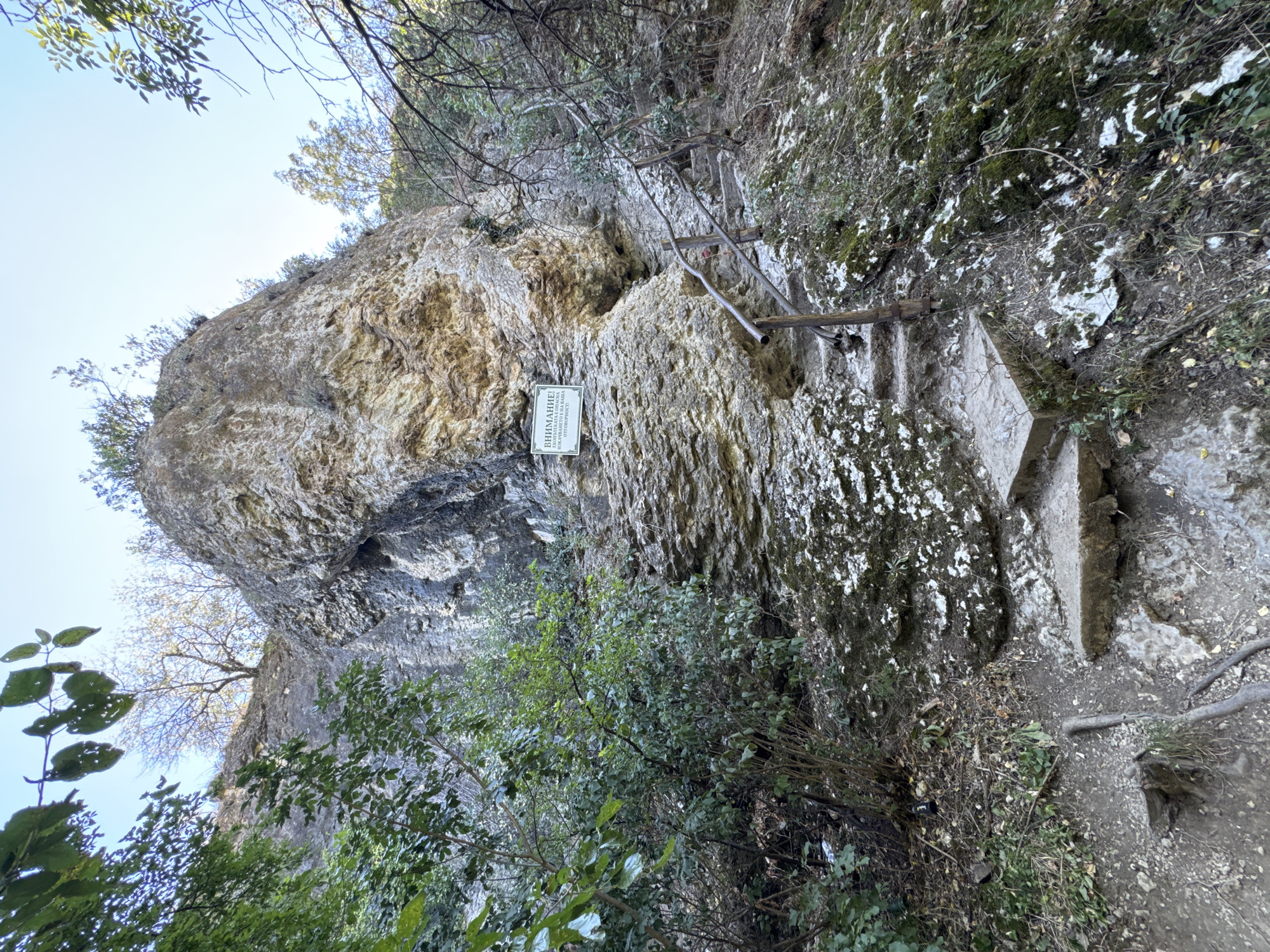 The image depicts a natural scene in the vicinity of Hotnitsa, Bulgaria, focusing on a rock formation and a pathway leading up to it. A large, light-colored rock face dominates the center of the frame, with textured surfaces and visible layers. A white sign with dark text is attached to the rock face. A rustic pathway, composed of stone steps and dirt, winds its way up the rocky slope, partially bordered by a wooden railing. Green foliage, including trees and bushes, surrounds the pathway and the rock formation, with some branches reaching into the frame from the top and sides. The sky above is clear and blue. The overall impression is that of a natural landmark or hiking trail, possibly part of the Hotnitsa Waterfall area.