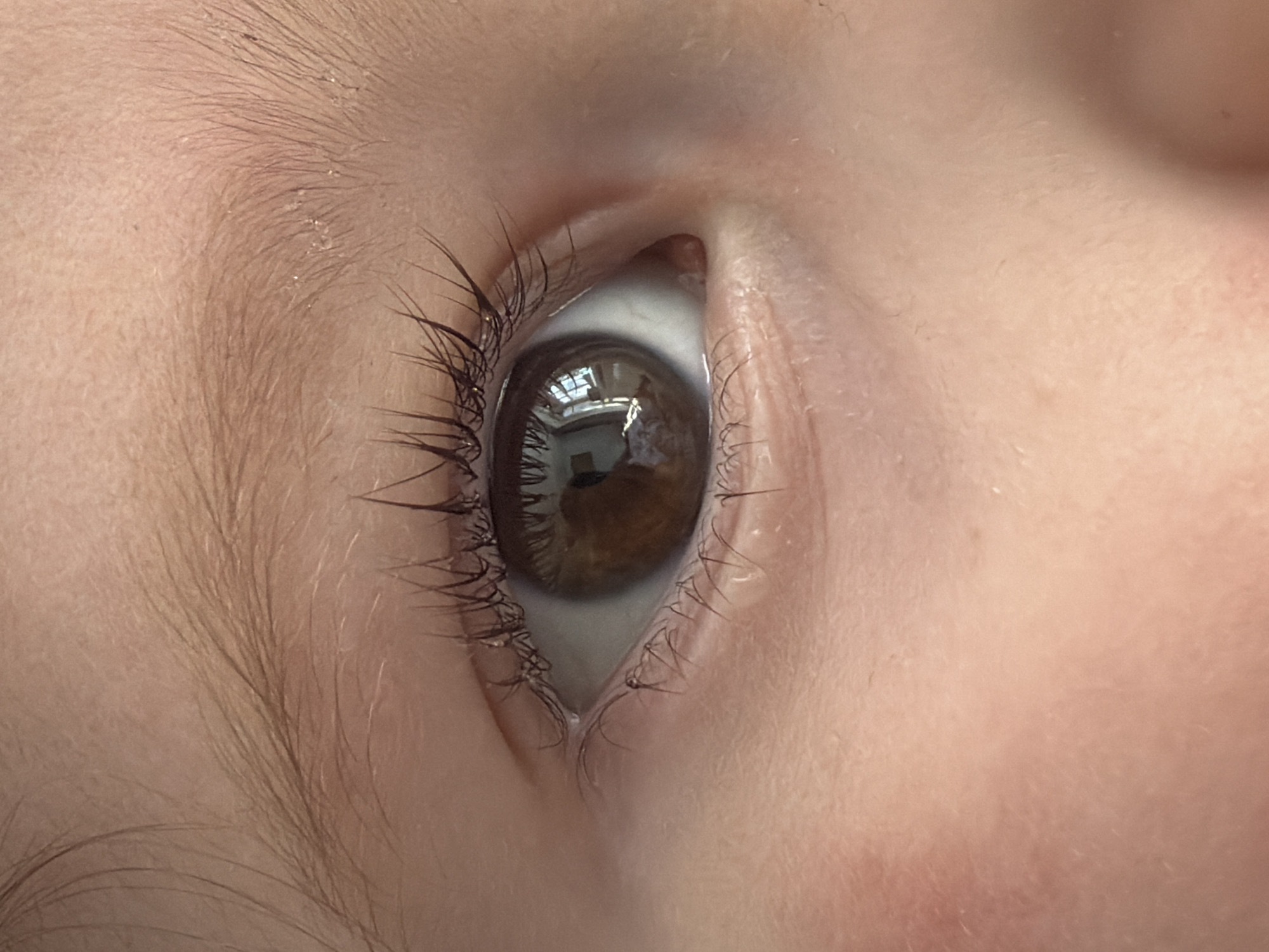 A close-up photograph shows a human eye. The iris is brown and reflects a window with visible panes and light coming through, suggesting an interior setting. The eyelashes are dark and thick. The surrounding skin is light-toned and shows fine hairs. There is no information in the image to confirm the location in Chaikovsky, Russia.