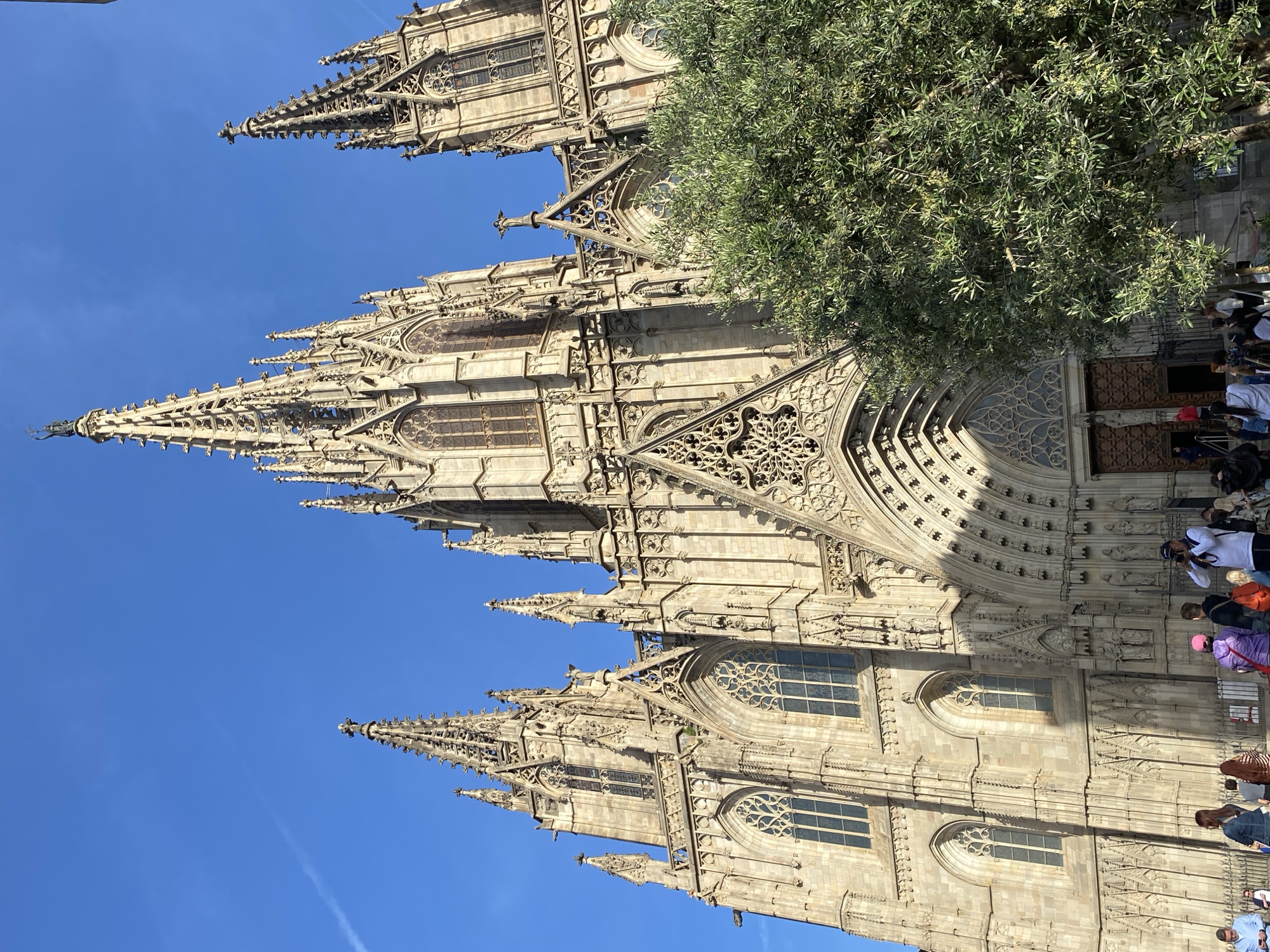 The image depicts the Cathedral of Barcelona, a Gothic cathedral located in the Gothic Quarter of Barcelona, Spain. The cathedral's facade is intricately decorated with spires, arches, and sculptural elements. Some people are partially visible to the right of the frame. A large tree with dense foliage partially obscures the view of the cathedral. The sky is clear and blue.