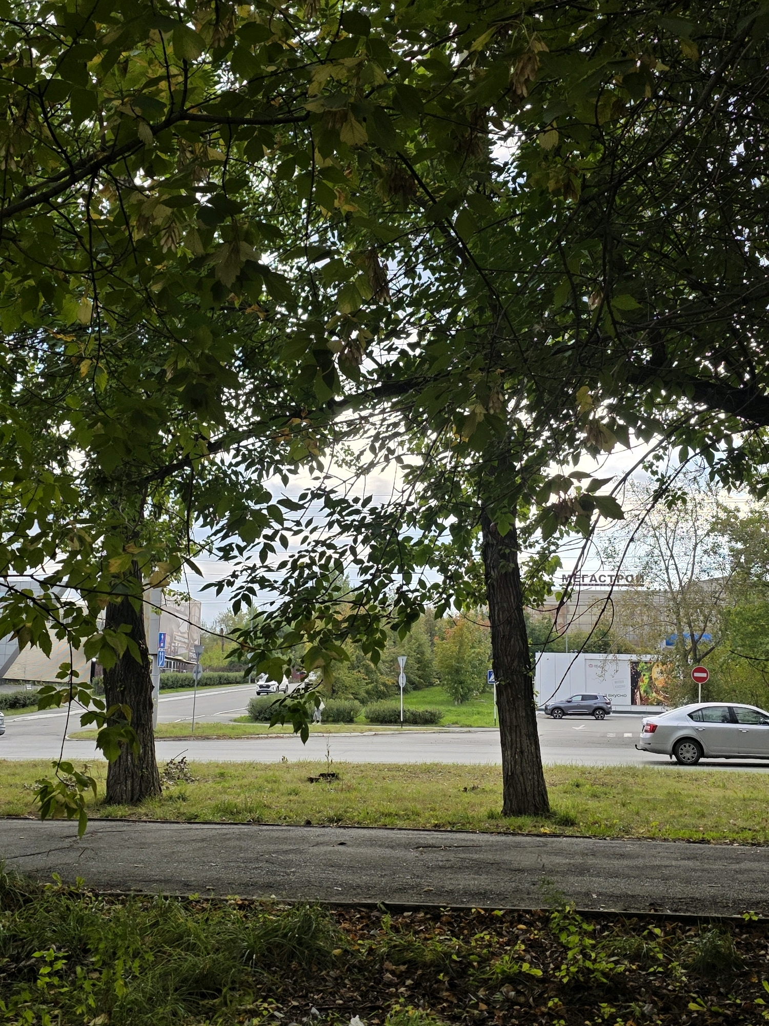 The image depicts a street scene in Chelyabinsk, Russia, viewed from under the canopy of leafy trees. The foreground shows a paved walkway and grass, with fallen leaves scattered on the ground. Beyond this, a two-lane road is visible, with a traffic island separating the lanes. Several vehicles, including a silver sedan and a dark SUV, are present on the road. In the background, buildings and signs can be seen, with one prominent sign bearing the Russian text "МЕГАСТРОЙ". The sky is partly cloudy. The overall atmosphere suggests an urban environment during the daytime, possibly in autumn, given the foliage.