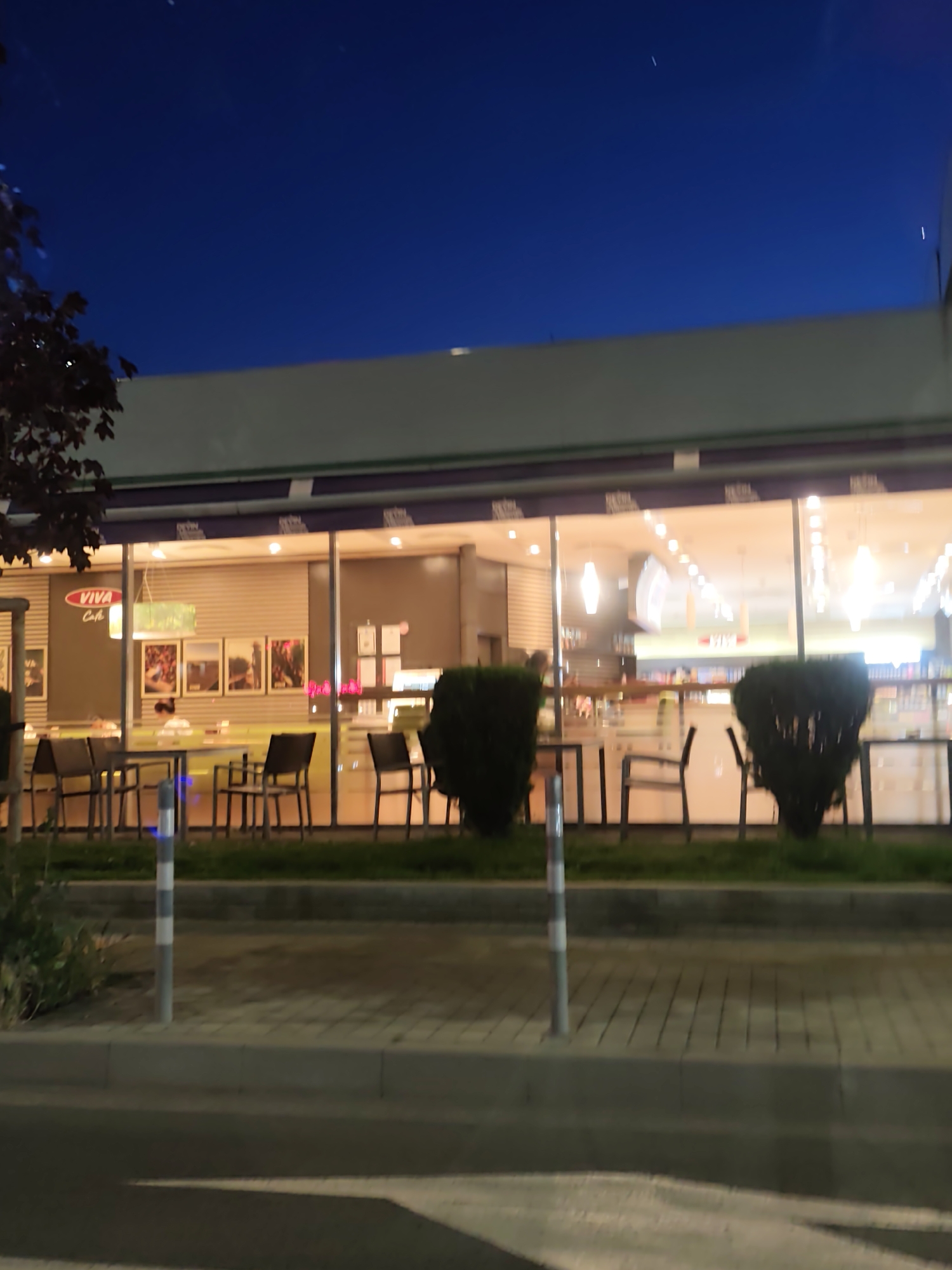 The image depicts the exterior of a "Viva Cafe" at night. The cafe has a large glass facade, revealing the interior with tables, chairs, and a counter. Signage with the cafe's name is visible, along with framed images on the wall. Outside, trimmed bushes are positioned in front of the building. The street is illuminated by streetlights, and a sidewalk separates the building from the road. There are two posts with white and blue stripes and no visible people. The sky is dark blue, suggesting a late evening. The location is likely in Sofia, Bulgaria, based on the "Viva Cafe" branding and architectural style.