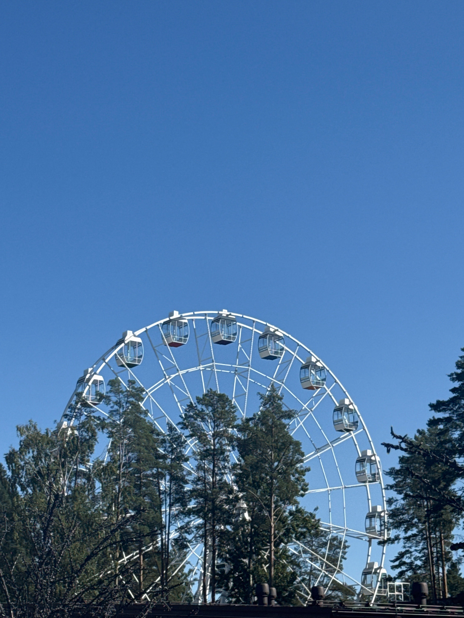 A white Ferris wheel is visible against a clear blue sky, partially obscured by tall green trees and dark branches in the foreground. Several enclosed gondolas are attached to the Ferris wheel's rim. The Ferris wheel appears to be located at an amusement park or recreational area in Mistolovo, Russia.