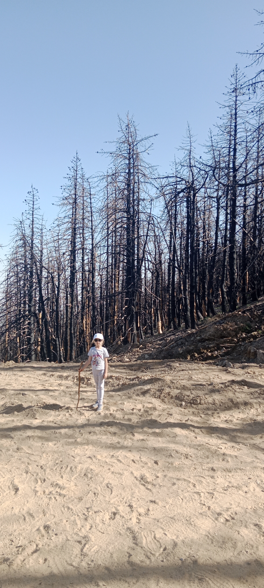 A young girl wearing a white cap, a light-colored t-shirt with a graphic, and white pants stands in a dirt clearing. She is holding a wooden stick. Behind her, a dense forest of charred, bare trees stretches across the frame, indicative of a past wildfire. The ground is dry and dusty. The sky is clear and blue. The scene is located in Cerezo de Arriba, Spain.