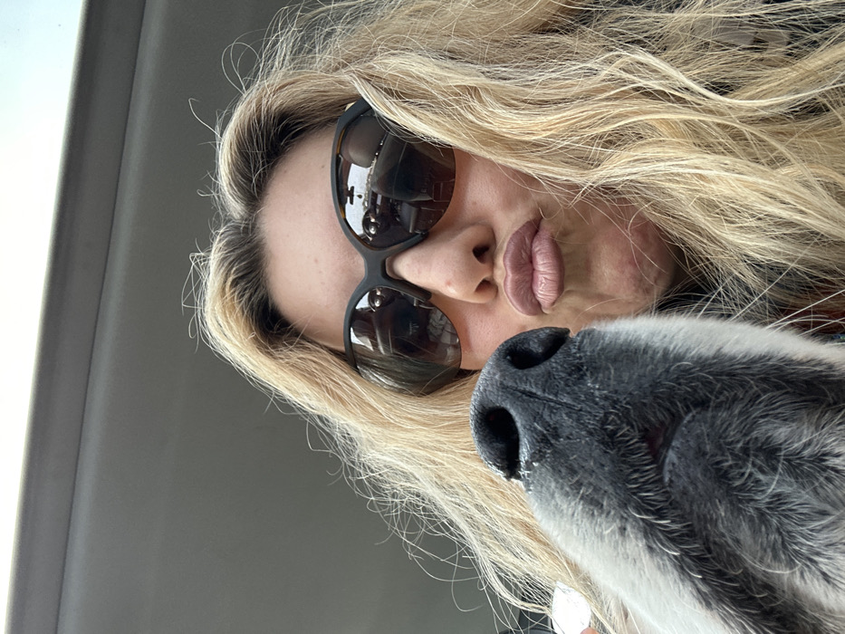 The image depicts a close-up scene from inside a vehicle in Basildon, United Kingdom. An adult female, with long blonde hair and dark, tortoise-shell framed sunglasses, occupies the right side of the frame. Her lips are visibly pursed in a kissing gesture. Positioned to her lower left, in close proximity to her face, is the grey and white snout of a dog, prominently featuring a black nose and upper lip. The upper background shows a light grey vehicle headliner. Reflections in the woman's sunglasses reveal elements of the vehicle's interior, including a rearview mirror and portions of the dashboard. No external landmarks or specific street features are discernible within the image to pinpoint a precise location within Basildon.