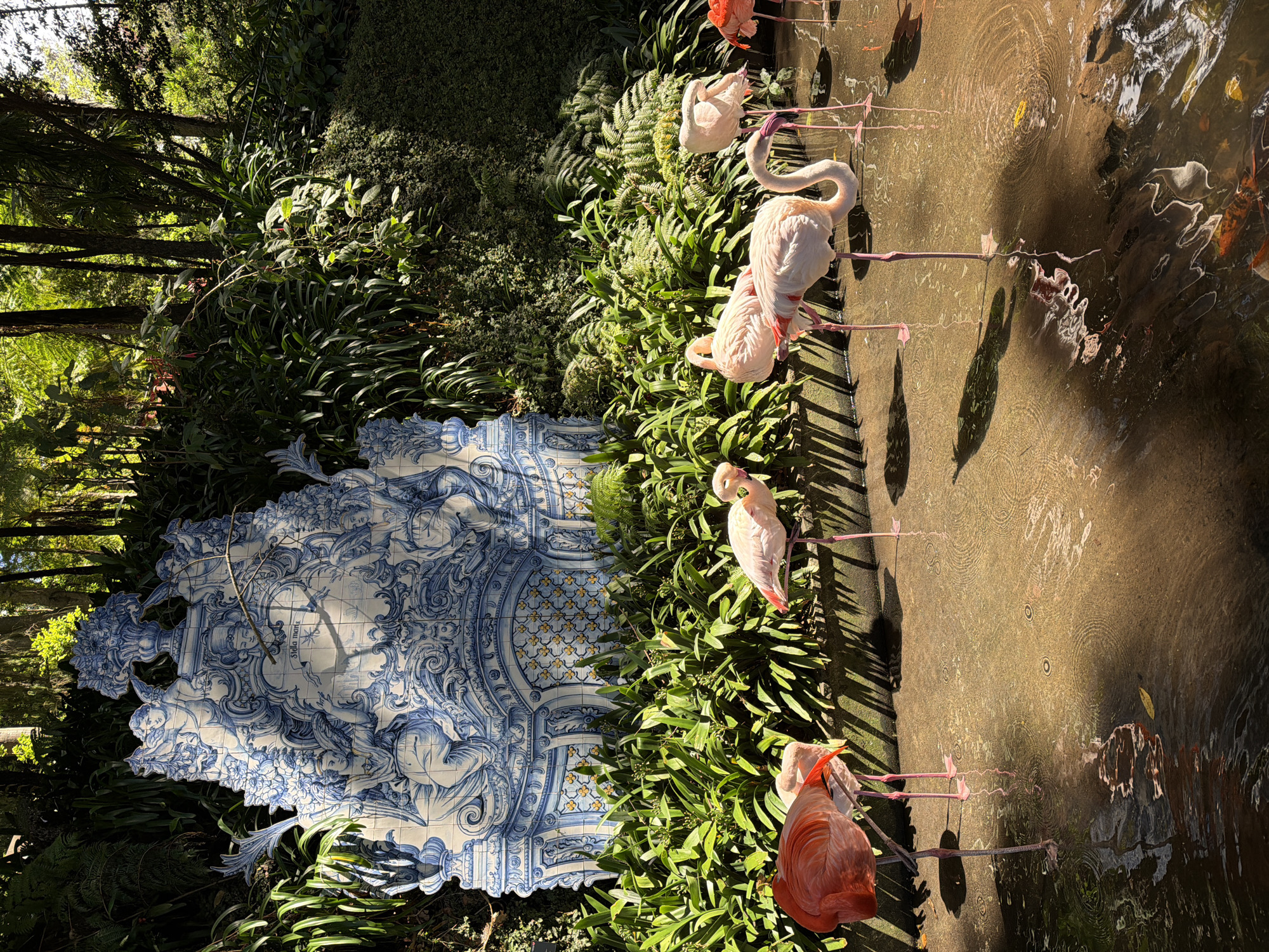 The image captures a scene in the Monte Palace Tropical Garden, located in Funchal, Portugal. The foreground consists of a shallow body of water where several flamingos are standing. The flamingos vary in color from pale pink to vibrant orange-red.
Adjacent to the water, dense green foliage borders the bank. To the left of the foliage, a large, ornate blue and white tile panel is visible.
The background features taller trees and additional greenery, suggesting a lush, tropical environment. The lighting is bright, with sunlight creating shadows and reflections on the water's surface.