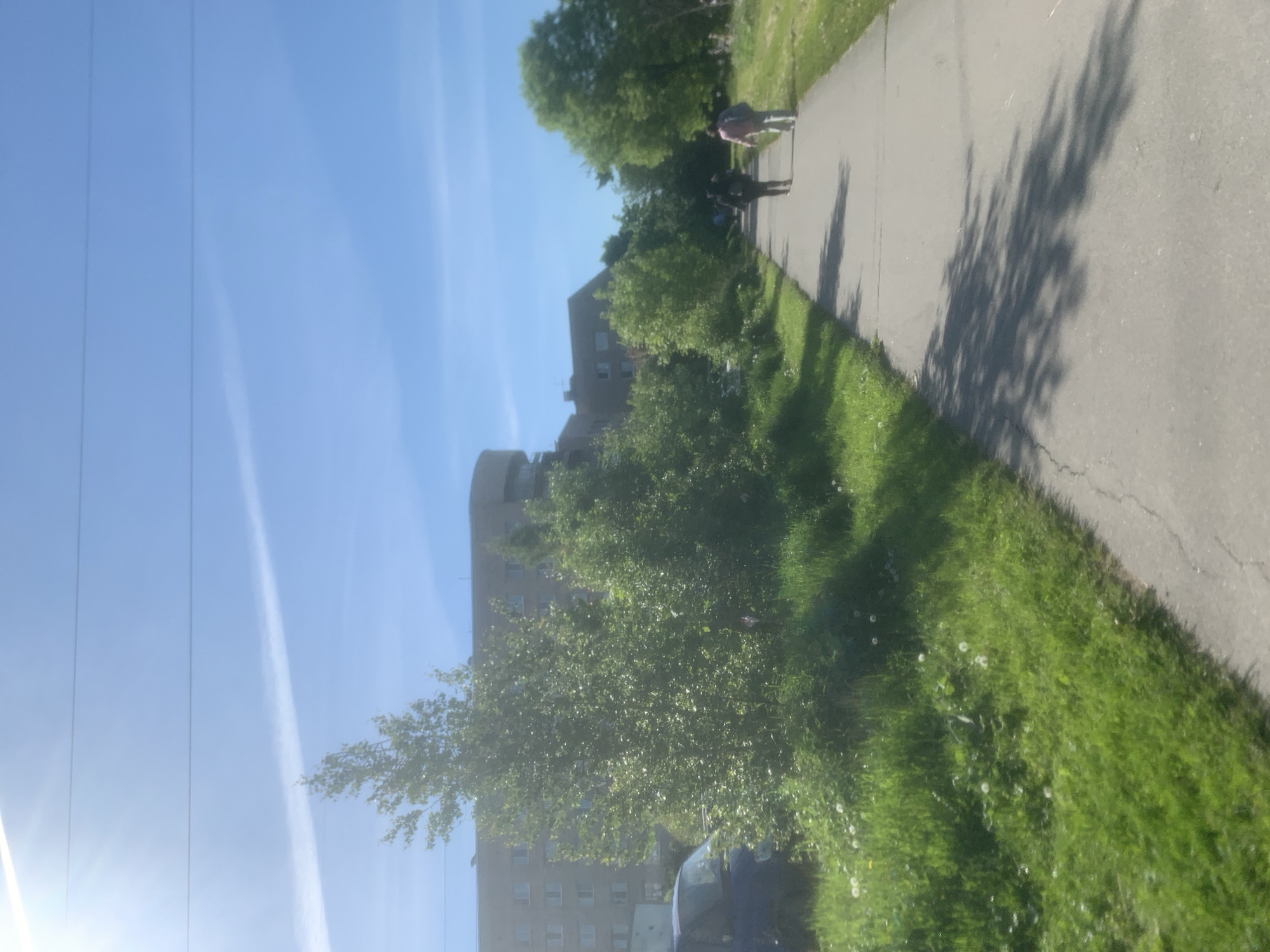 The image, appearing to be rotated 90 degrees clockwise from its intended orientation, captures a bright, sunny outdoor scene. It depicts a paved pathway alongside a grassy area, with trees and buildings in the background under a clear blue sky.
In the upper-right portion (if the image were rotated counter-clockwise to its correct orientation), a vast, clear blue sky dominates, traversed by several faint, thin white lines, possibly contrails from aircraft or power lines. A strong lens flare from the sun is visible in the lower-left corner.
A light gray paved path runs diagonally across the frame, with lush green grass bordering it on both sides. The grass contains scattered small white flowers. Shadows of trees, displaying intricate leaf patterns, are cast prominently across the pathway. Two people are walking along the path: one individual in a light-colored top and dark pants is more clearly visible, followed by a less distinct figure.
In the mid-ground and background, several trees and bushes with vibrant green foliage are present. Behind them, multi-story buildings, likely residential, stand tall. One building has a distinctive curved or cylindrical section. Part of a dark-colored vehicle is partially visible behind some bushes in the lower-center.
The scene suggests a calm, ordinary day in an urban or suburban environment, likely during the morning or afternoon given the strong sunlight and defined shadows. There is no visible text in the image.