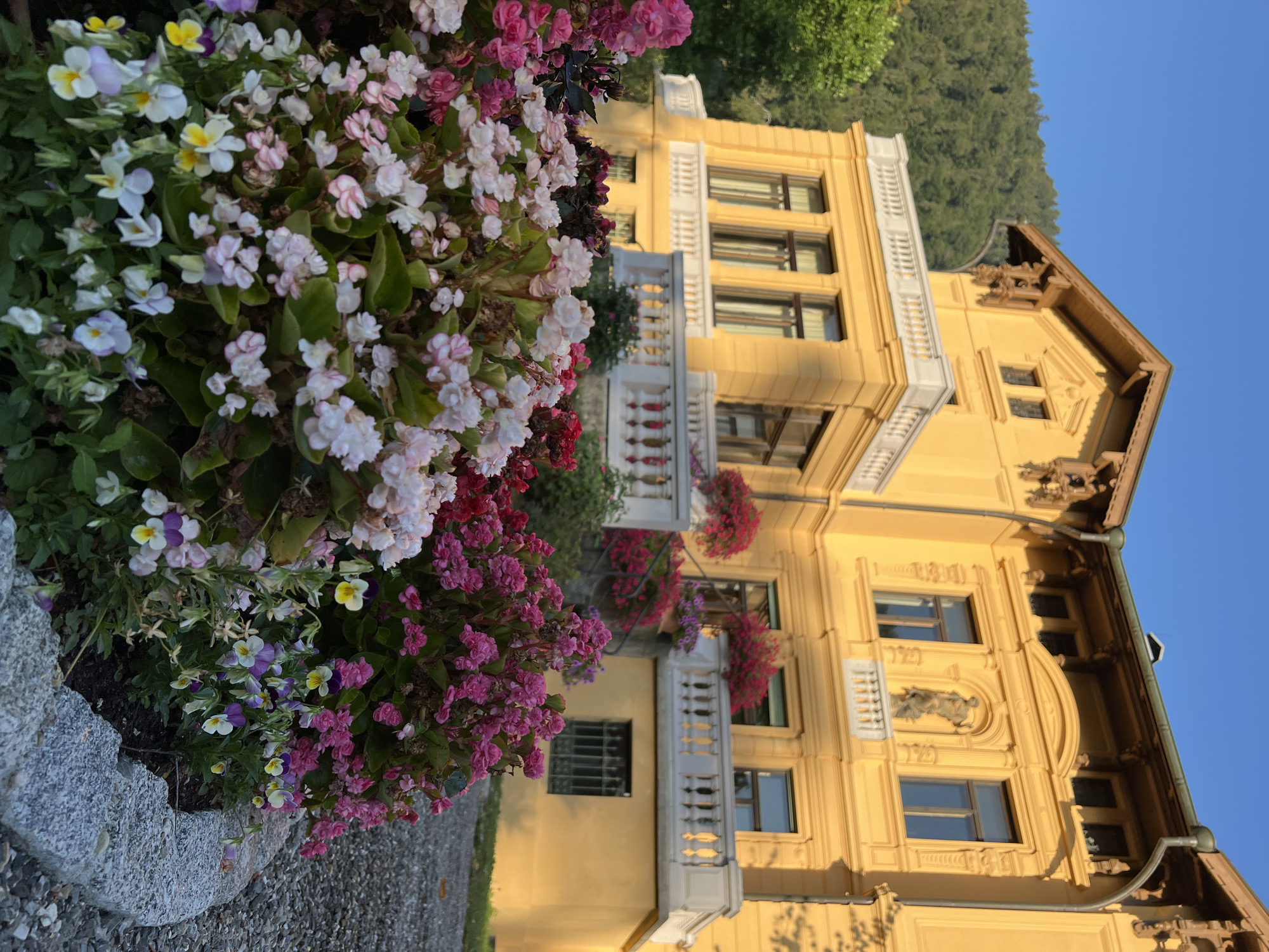 This is a medium-shot, vertical photograph of a yellow, ornate building with a white balustrade, situated in Immenstadt im Allgäu, Germany. In the foreground, a cluster of pink and white flowers, along with some purple and yellow pansies, are in bloom, bordering a gravel pathway and a stone-edged flower bed. The building, characterized by its detailed architectural features, is partially visible behind the flowers, bathed in warm sunlight. A lush green, tree-covered hillside rises behind the building under a clear blue sky. The overall scene suggests a well-maintained garden or park setting adjacent to the building.