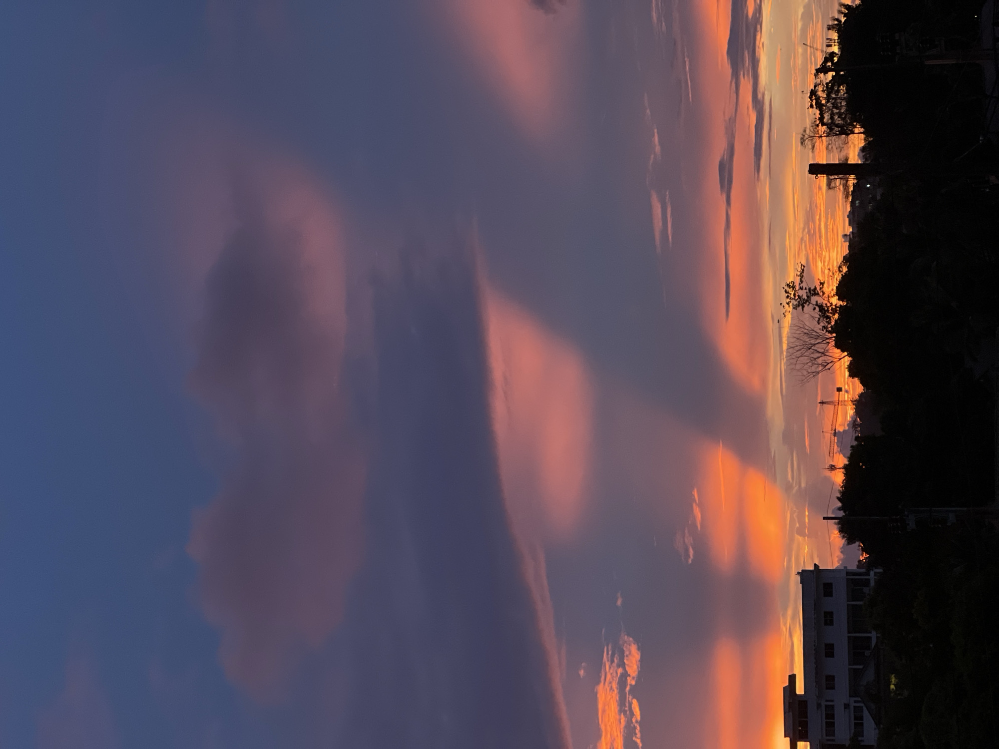 The image depicts a vibrant sunset over an urban landscape. The sky is a canvas of deep blues, purples, and fiery oranges and pinks, with dramatic cloud formations illuminated by the setting sun. Distinct shafts of light pierce through the clouds, creating an ethereal effect. In the foreground, silhouetted against the colorful sky, is a dense line of dark trees and foliage. A white, multi-story building with a flat roof is visible on the left, partially obscured by trees. Further to the right, industrial structures, including a tall crane and a chimney-like object, rise above the tree line. The overall impression is one of a breathtaking natural phenomenon occurring over a developed area.