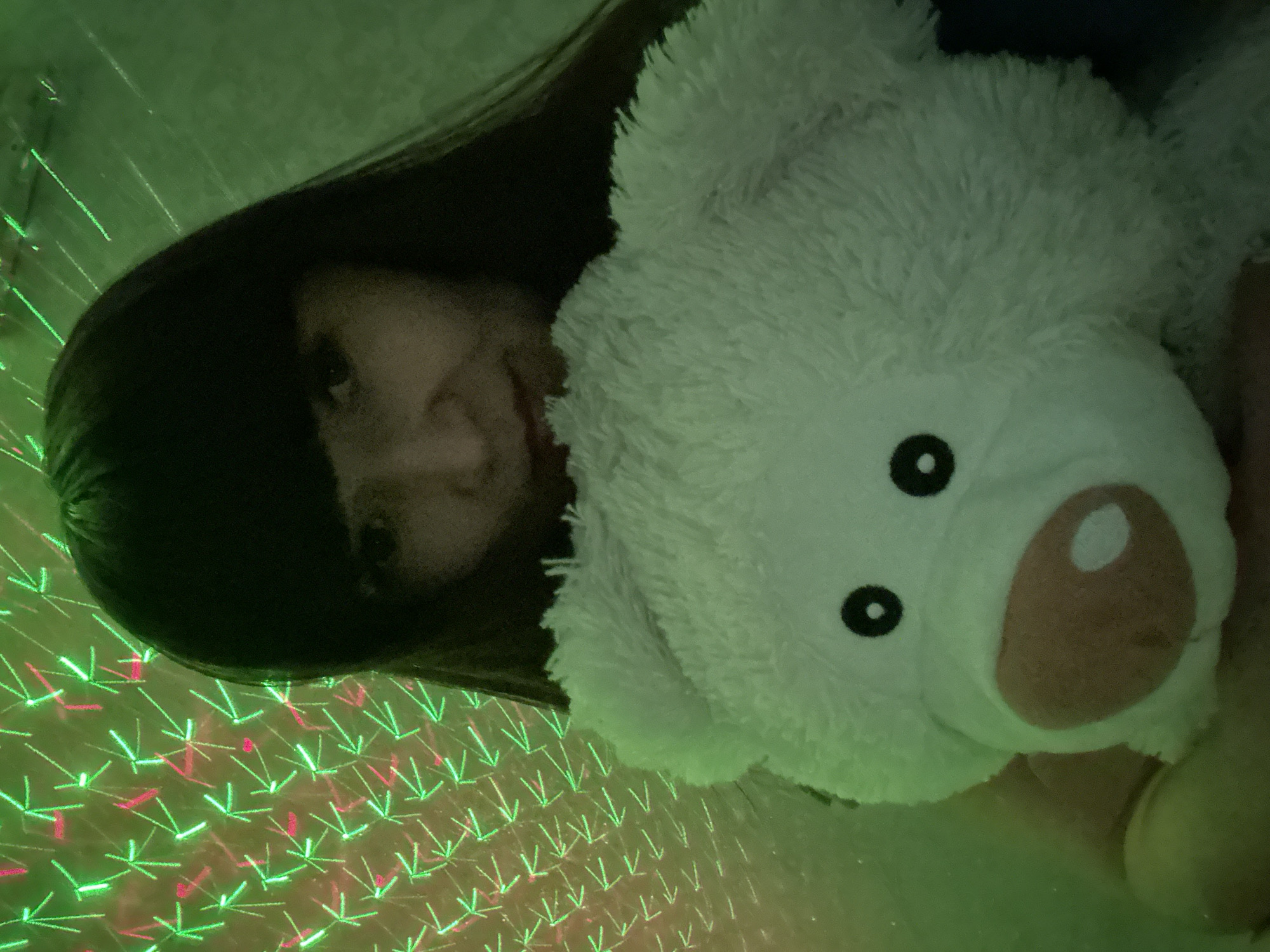 This angled image, captured in Chaikovsky, Russia, features a person and a plush toy within a dimly lit, patterned environment. On the left side of the frame, a person with long, dark hair is partially visible from the forehead to the chin, looking towards the viewer with a subtle smile. Their face is partly obscured by shadow. Occupying the central and right portions of the image is a fluffy white plush teddy bear, complete with black button eyes and a prominent reddish-pink nose. The bear appears to be held or resting close to the person.
The background is distinctive, showcasing a projected light pattern of numerous small, bright green and red arrow-like or chevron shapes, suggesting an indoor setting with decorative lighting. The predominant green tint of the lighting contributes to a soft, almost ethereal atmosphere, indicating low ambient light, possibly at night. No specific activity beyond posing with the plush toy is discernible. There is no visible text in the image. The scene conveys a sense of quiet contentment and warmth, likely a personal moment.