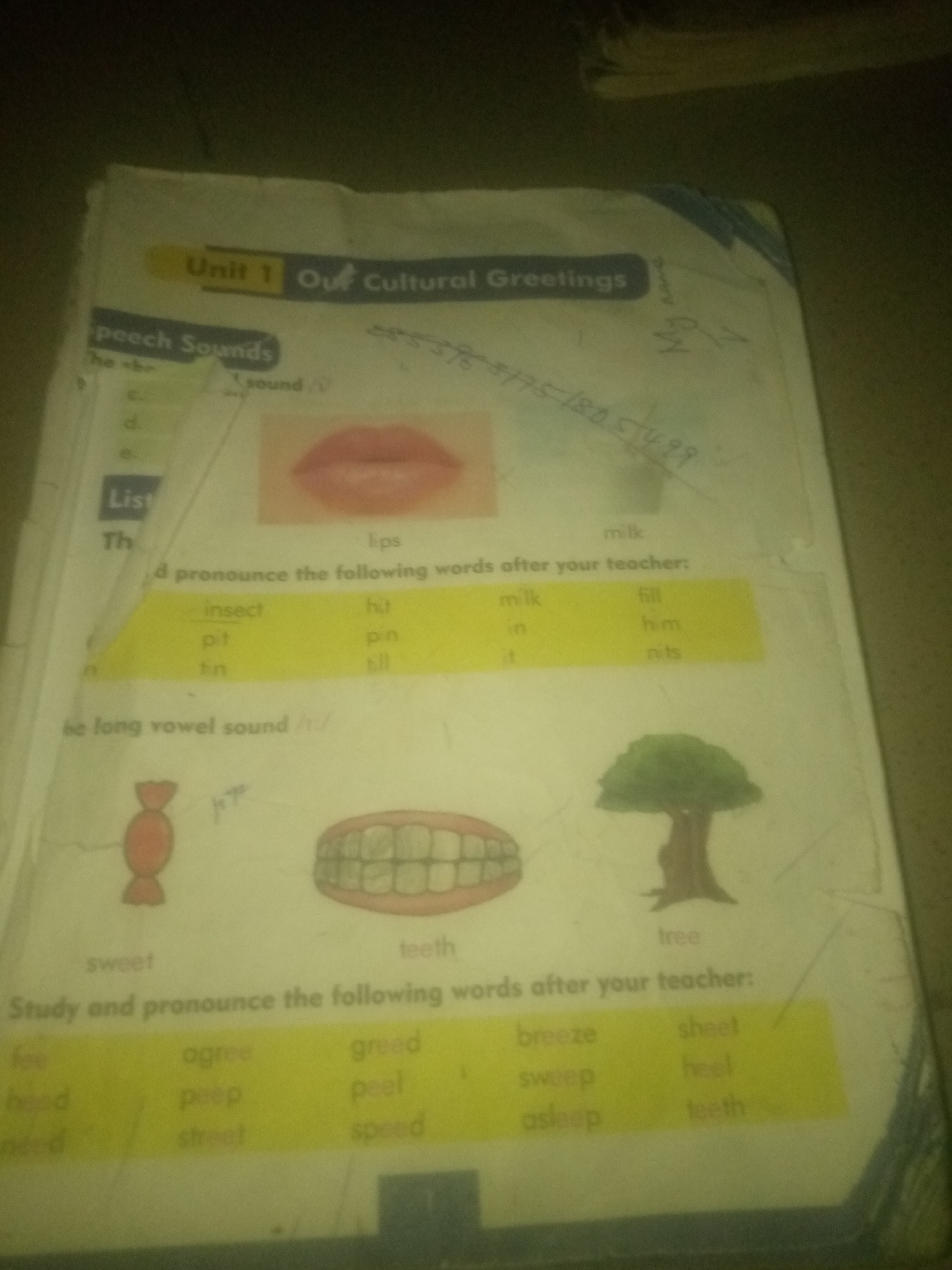 This is a close-up, slightly blurry, overhead shot of an open textbook or workbook. The page appears to be from an English language learning material, likely for young learners, as evidenced by the images of lips, teeth, a candy, and a tree, as well as simple vocabulary words.
The title "Unit 1 Our Cultural Greetings" is visible at the top. Below that, "Speech Sounds" is another heading. The page is divided into sections, with various words listed under headings such as "Lips," "Th," and "be long vowel sound /i:/" (though the "i:" is partially obscured and represented by a symbol). There are also instructions like "pronounce the following words after your teacher:" and "Study and pronounce the following words after your teacher:".
The words on the page include:
* Under "Lips": lips, milk
* Under an implied short "i" sound section: insect, hit, pit, pin, it, nits, fill, him
* Under "be long vowel sound /i:/": sweet, teeth, tree
* A second list of words includes: feel, agree, greed, head, peep, peel, need, sheet, speed, breeze, sweep, asleep, heel, teeth.
The page has handwritten marks in what appears to be pen and pencil, including some numbers and symbols that are difficult to decipher due to the image quality and angle.
The image does not contain any information that would allow for determining its location in Jauro Yinu, Nigeria, or any details about the environment beyond what is depicted on the page itself.