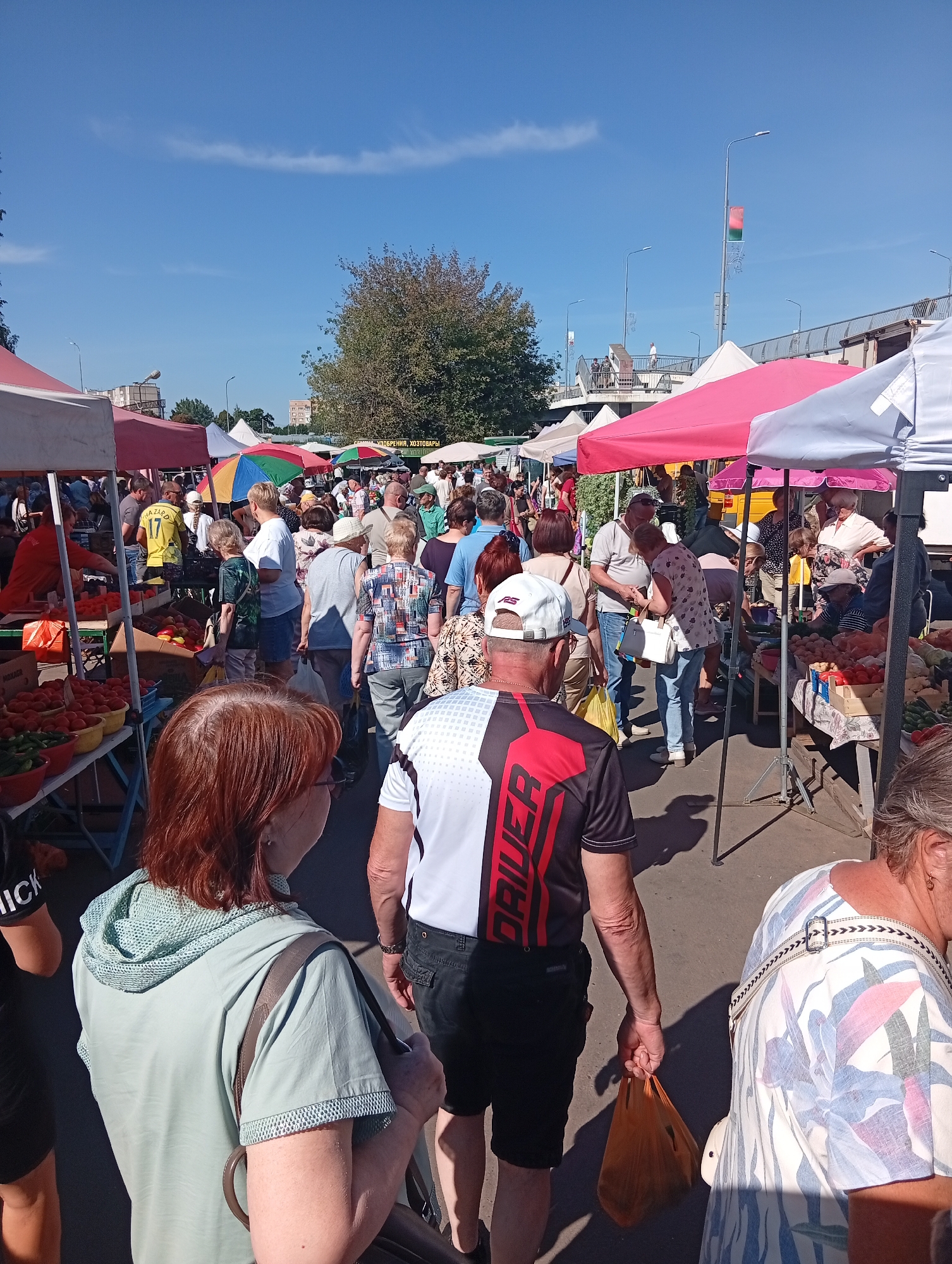 The image depicts a busy outdoor market scene on a sunny day in Baranavichy, Belarus. A crowd of people are browsing various stalls, with a focus on fresh produce. Tents and umbrellas provide shade for vendors and shoppers. In the background, buildings and a bridge are visible, along with streetlights and trees. The overall atmosphere is one of a typical local market, with individuals engaged in shopping and socializing.