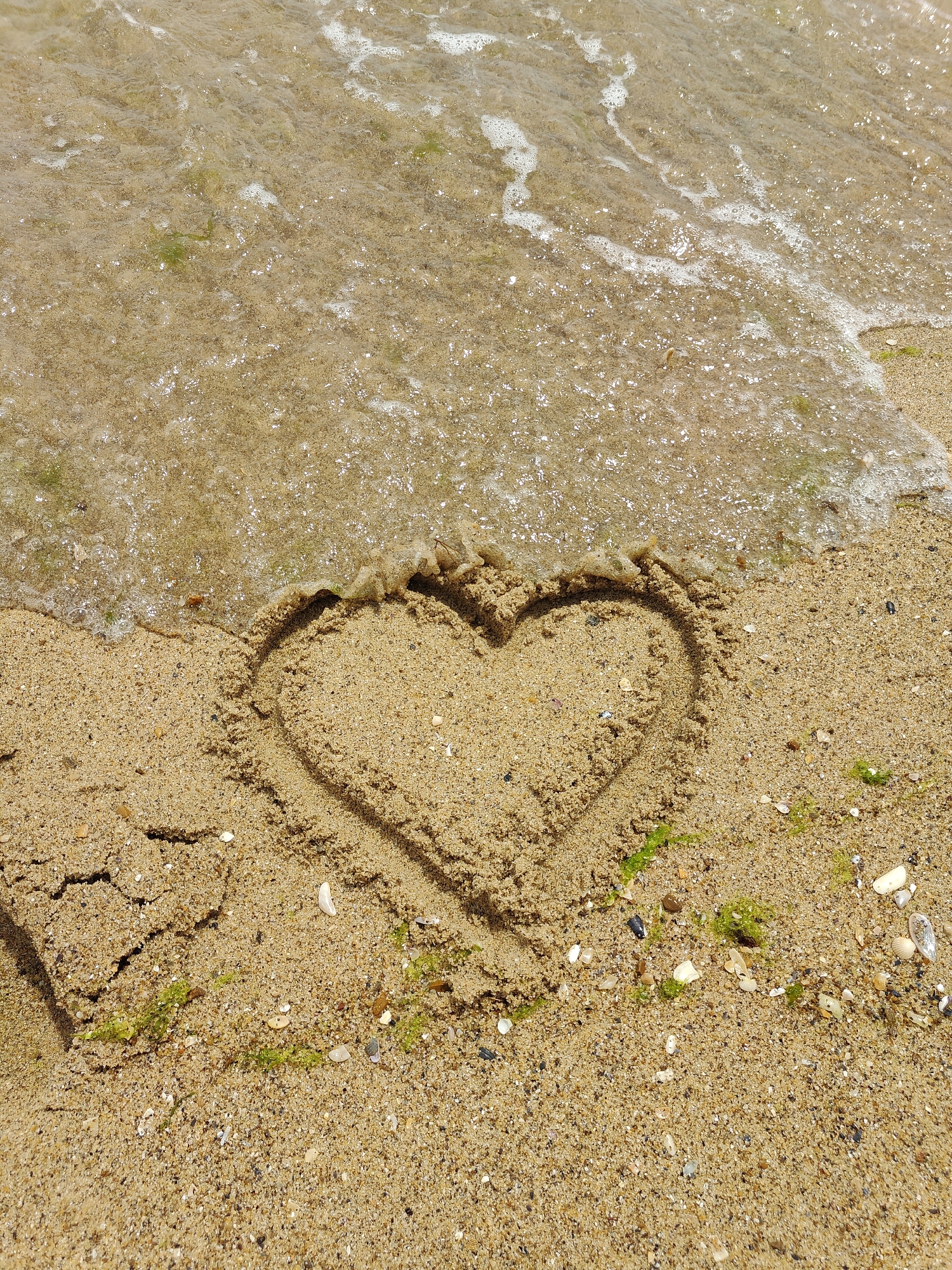 A heart shape is drawn in the wet sand on a beach, with the edge of a gentle wave washing over the top of it. The sand is a light brown and appears damp. Small pieces of seashells and bits of green seaweed are scattered across the sand. The water is clear and shallow, with some foam from the wave. The scene suggests a peaceful moment by the sea.