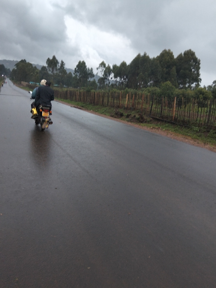Two individuals are observed traveling away from the camera on a dark-colored motorcycle on a wet asphalt road in Nyansiongo ward, Kenya. The driver wears a dark jacket, and the passenger, seated behind, wears a light-colored cap. A yellow container is secured to the rear of the motorcycle. The road surface is visibly reflective, indicating recent rainfall. To the right of the road, a dirt shoulder transitions into a rustic fence constructed from vertical wooden poles. Beyond the fence, green foliage precedes a dense stand of tall, slender trees, possibly eucalyptus, which extend across the midground. The sky above is entirely overcast with dark grey clouds. Distant hills are faintly discernible beneath the clouds, and faint human figures are visible on the left side of the road in the far distance.