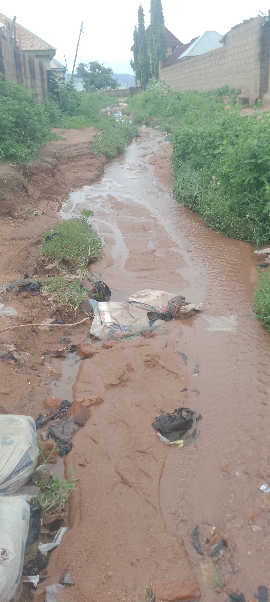 The image depicts a natural drainage channel in Jalingo, Nigeria, flowing through a residential area. The channel is filled with muddy water, indicative of recent rainfall or inadequate drainage infrastructure. Debris, including plastic bags and discarded items, is visible along the banks and within the water, suggesting poor waste management practices. Residential structures and vegetation line the sides of the channel, with some buildings constructed from concrete blocks and others featuring corrugated iron roofs. The overall scene suggests an urban environment facing challenges with sanitation and water management.