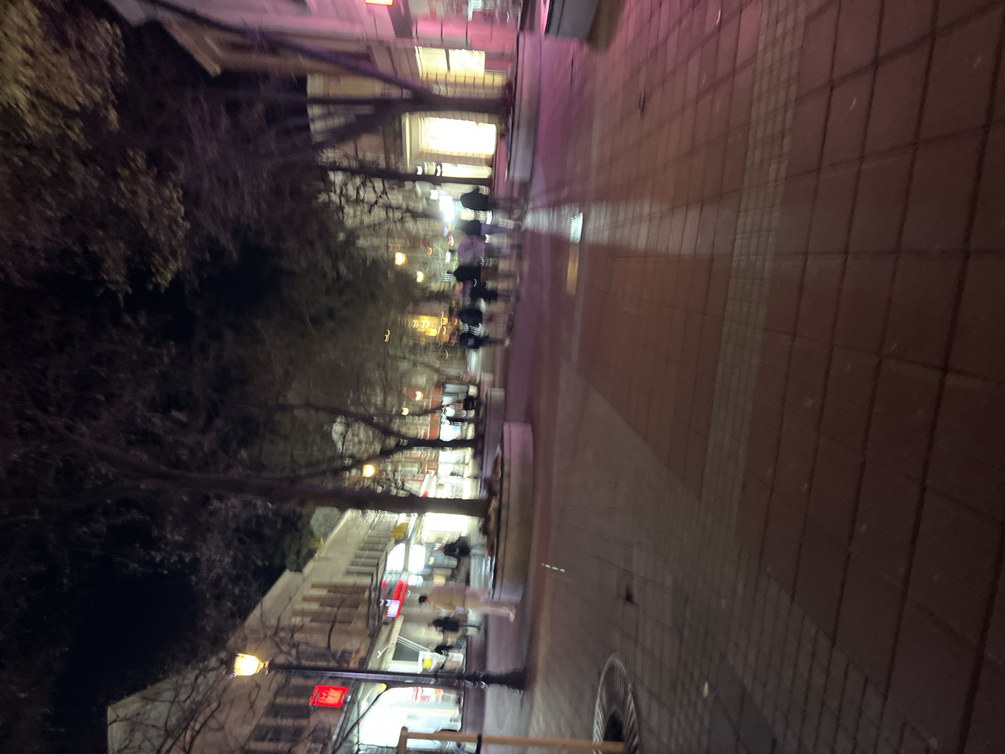 The image depicts a street scene at night in Plovdiv, Bulgaria. The view is angled, showing a wide pedestrian walkway paved with rectangular tiles, appearing wet and reflecting lights. On the left is a row of bare trees bordering a street with buildings. Streetlights illuminate the area, and there are several blurred figures walking in the distance. Some buildings have lighted windows, and there are traffic lights visible. The overall ambiance suggests a city street at night, with a slight distortion in perspective.