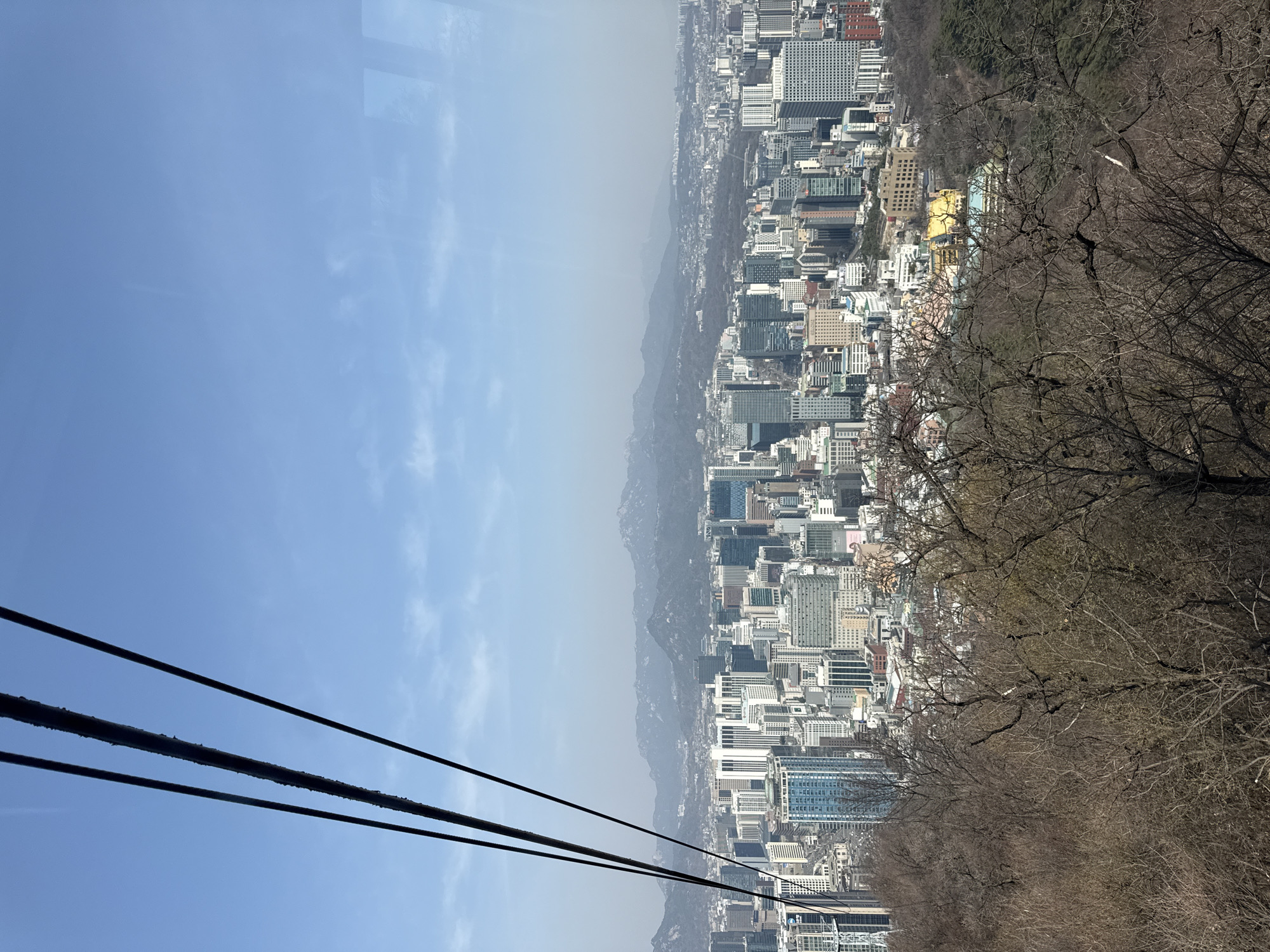 An elevated panoramic view captures the urban landscape of central Seoul, South Korea, looking north from the perspective of the Namsan Cable Car. In the upper left foreground, four dark, thick cable lines, appearing textured, extend diagonally downwards. Below the cables and across the lower third of the image, the bare branches of numerous deciduous trees indicate a late winter or early spring season. The midground presents a dense expanse of metropolitan Seoul, characterized by a multitude of high-rise buildings, office towers, and residential structures varying in height, architectural style, and color, predominantly white, grey, blue, and tan. Notable features include a prominent blue-glass building and a complex with distinctive golden-yellow roofs. The background reveals distant mountain ranges with subtle snow or light coloration, set against a clear, light blue sky with minimal haze. No people are visible within the scene.