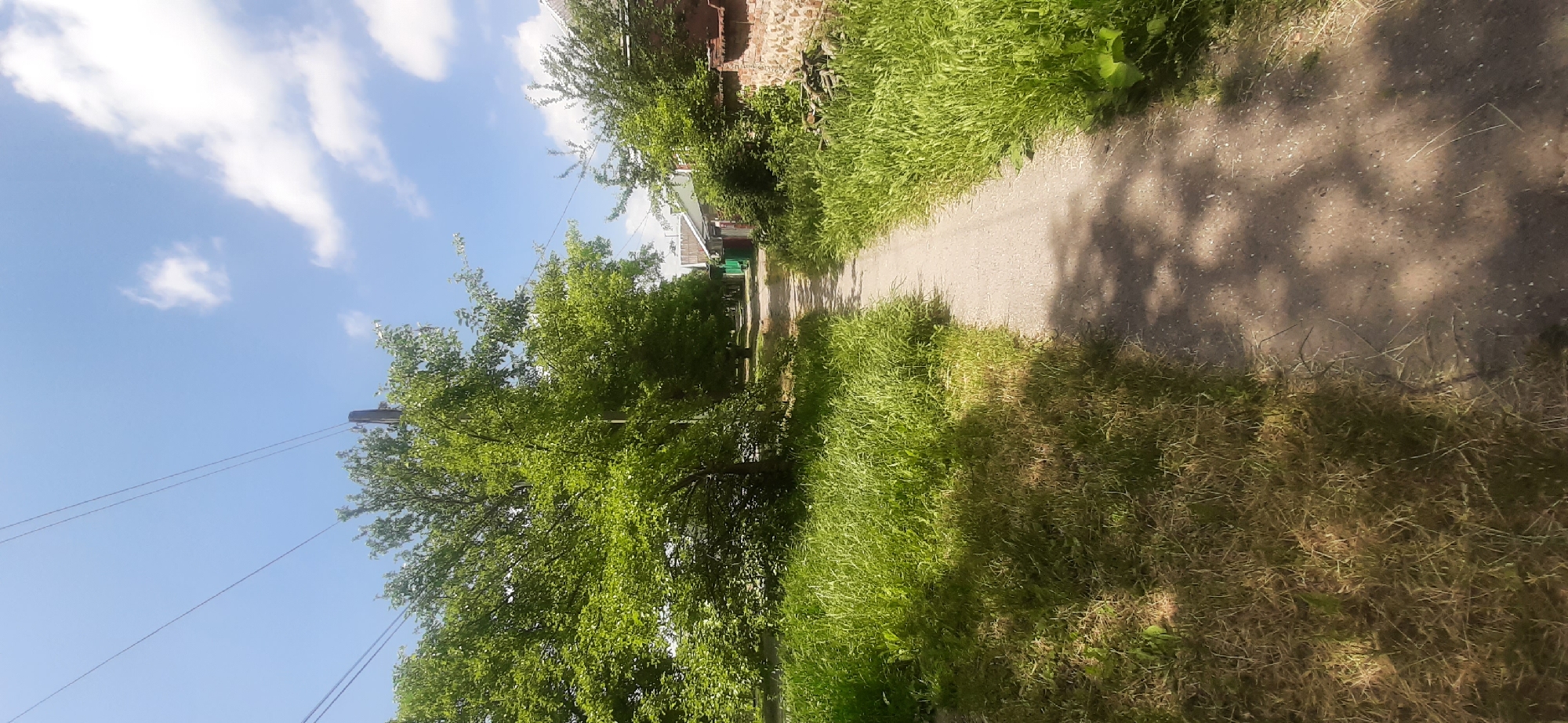 The image depicts a narrow, unpaved pathway running through a residential area in Yessentukskaya, Russia. The pathway is lined with lush green grass and tall weeds on both sides. Mature trees with dense green foliage cast shadows on the pathway, suggesting a sunny day. In the background, houses with various architectural styles and colors are visible, some with brick walls and others with wooden or painted exteriors. Electrical wires are strung overhead, supported by utility poles. The sky is a clear blue with scattered white clouds. The scene conveys a sense of rural or semi-rural residential life.