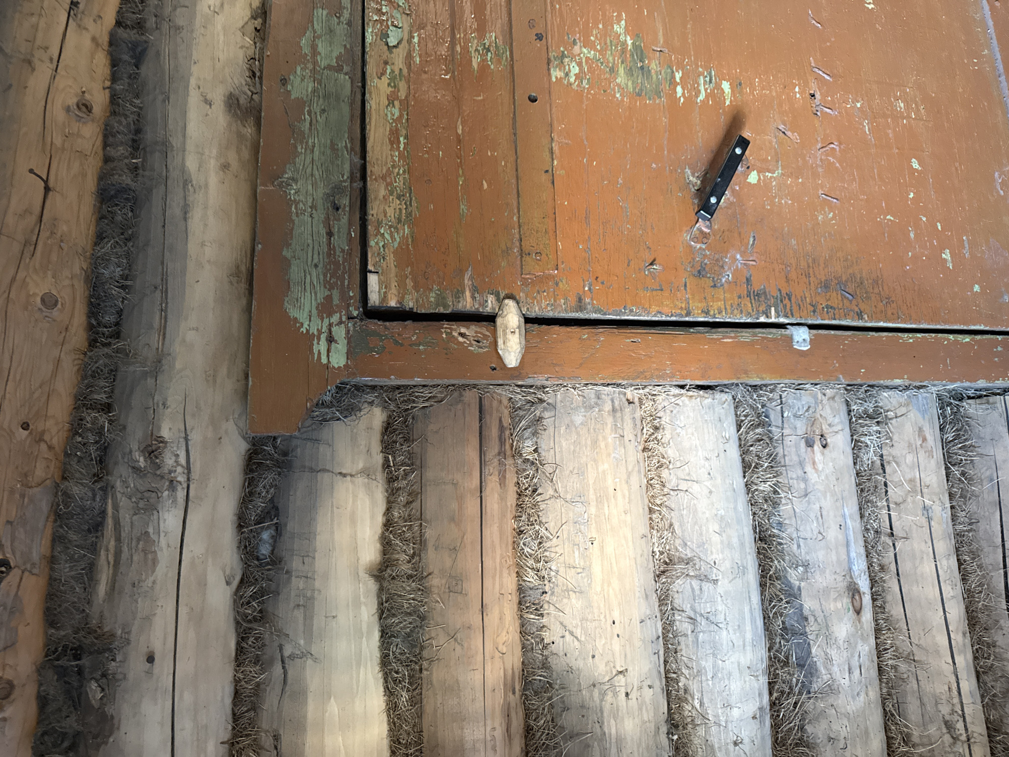 An exterior close-up view shows the corner of a rustic log cabin construction, with horizontally stacked logs chinked with dried grass. The right side of the frame features a weathered, orange-painted wooden door, with visible peeling paint revealing green undertones. A simple wooden latch secures the door from the outside, and a small black object, possibly a keychain or a tool, is attached to the door with two small screws. The overall scene suggests an aged and utilitarian structure, typical of rural or historical dwellings. The location of Чуй-Атасево, Russia, is associated with this structure.
