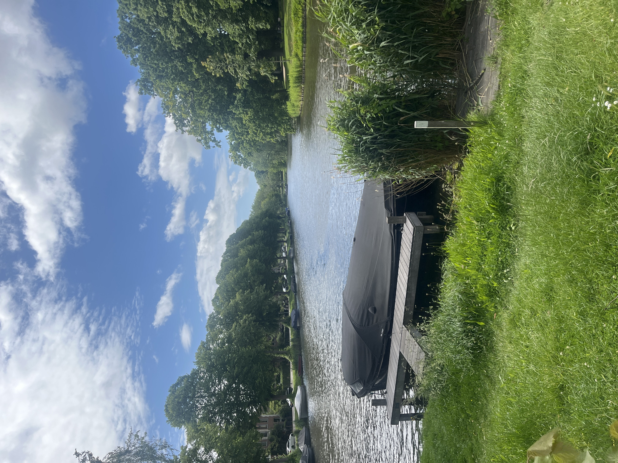 An outdoor, eye-level, vertical medium shot shows a calm canal bordered by trees and a grassy bank on a sunny day. The canal is in the center of the image, with a boat covered by a dark tarp tied to a wooden dock on the left. The water reflects the blue sky and white clouds. On the right bank of the canal, tall green reeds grow. The background shows a line of trees along the canal, with houses and a road visible behind them on the left. The foreground is a lush green lawn.