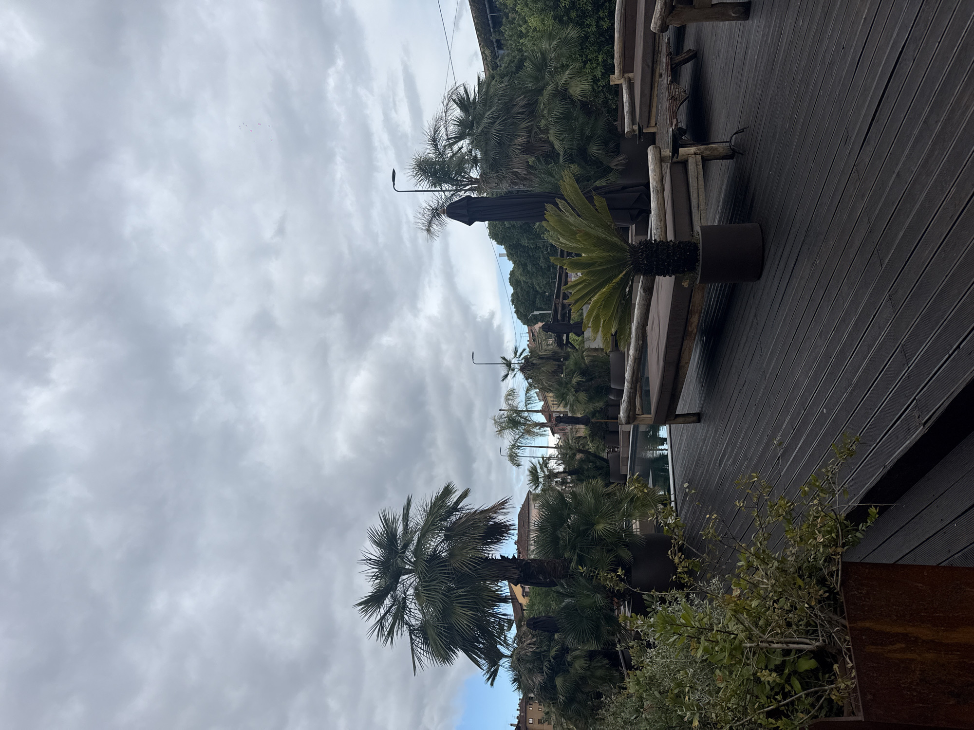 The image shows an outdoor seating area, likely a cafe or restaurant terrace, in Milan, Italy. The terrace is constructed from dark wood planks. Several palm trees in large pots, along with other potted greenery, add a tropical touch. Seating includes rustic wooden benches with weathered-looking supports. An unopened black umbrella is visible. The sky is overcast with heavy cloud cover. There are buildings and possibly reflections of windows visible in the background, indicating an urban environment. A street lamp is also visible.