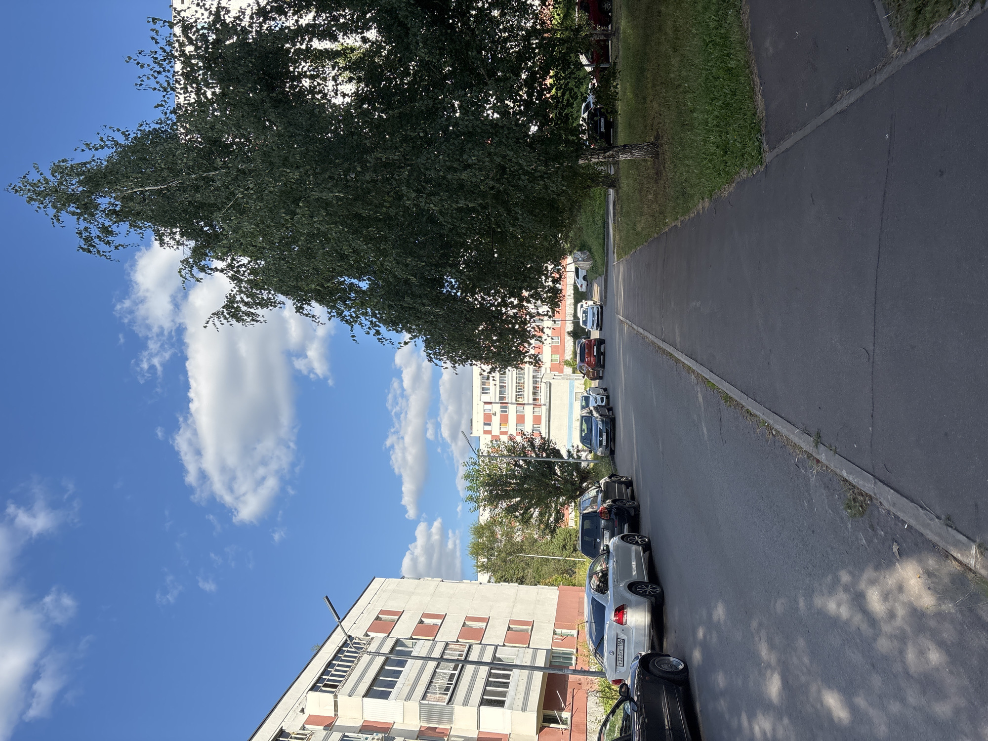 The image depicts a residential street in Naberezhnye Chelny, Russia, on a clear day with scattered clouds. On the left, a multi-story apartment building with a light-colored facade and red accents runs along the street. Parked cars are visible along the curb in front of the building, including a silver sedan with the license plate T323KE 116. A paved sidewalk runs alongside the street, with a strip of grass and trees to the right. A tall birch tree with dense green foliage dominates the right side of the frame. In the background, another apartment building with red and white detailing is visible. Streetlights are present on poles along the street. The scene appears to be a typical urban residential area.