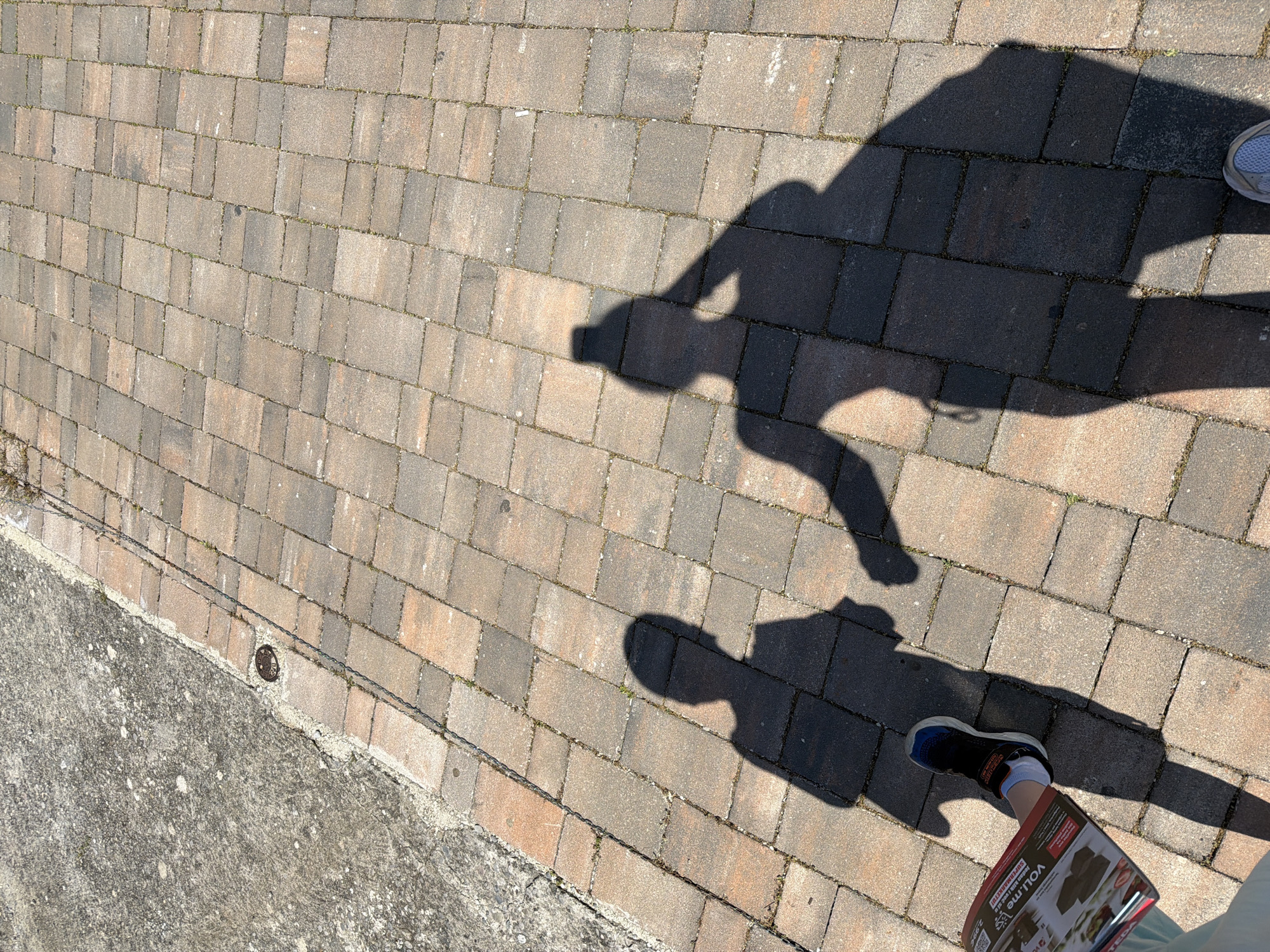 An overhead view captures two human shadows and feet on a paved outdoor surface in Petrovac centar, Montenegro, likely during early morning or late afternoon due to the elongated shadows. The scene depicts a sunny day.
The ground is primarily covered with rectangular and square paving stones in shades of grey, brown, and reddish-brown, laid in an alternating pattern. Small patches of grass or weeds are visible in the cracks between the stones. Along the lower left edge, a contrasting rough grey concrete or asphalt path runs diagonally, separated from the paving stones by a slight curb-like edge. A small, dark, circular metal drain cover or marker is embedded in this concrete section.
Two distinct shadows are cast on the paving stones: a larger, more prominent shadow (presumably an adult) stretching from the upper right towards the center, and a smaller shadow (likely a child) positioned more centrally. The foot of the person casting the larger shadow, wearing a white sneaker, is visible at the top right. The foot of the person casting the smaller shadow, wearing a dark blue/black and white sneaker, is visible towards the bottom right, next to a red and white leaflet or flyer.
The leaflet is held near the ground, possibly in the hand of the person casting the smaller shadow. Visible text on the leaflet includes "VOLUme" and "SUPERMARKET," along with what appears to be a QR code and product images/prices that are not clearly legible. The individuals appear to be standing or walking on the paved surface, perhaps distributing or reading the flyer.