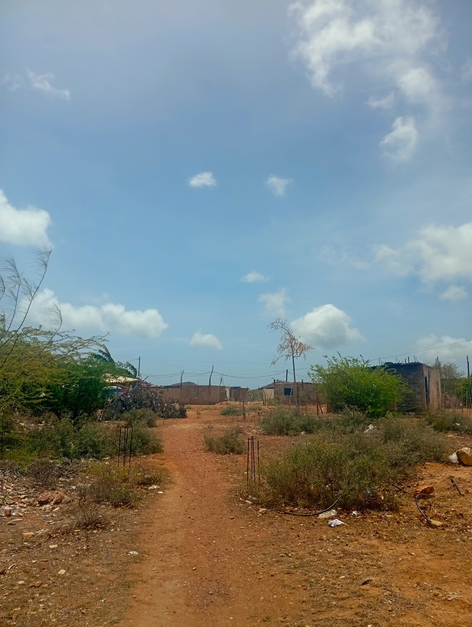 The image depicts a rural landscape under a bright, cloudy sky. A dirt path, appearing to be a road or walkway, dominates the foreground, leading into the middle ground. The path is surrounded by dry, sparse vegetation and reddish-brown soil, indicative of an arid environment. Scattered on the ground are pieces of debris, including plastic bottles and twisted metal.
In the middle ground and background, there are several simple, partially constructed or dilapidated structures made of brick and concrete. Some of these buildings appear to be unfinished, with exposed brickwork and no roofs. Vegetation, including bushes and a few scraggly trees, grows around the buildings and throughout the area. Electrical wires are visible strung between poles, suggesting some level of infrastructure. The overall impression is one of a developing or struggling settlement in a dry, possibly remote, location. The image does not contain any people.
