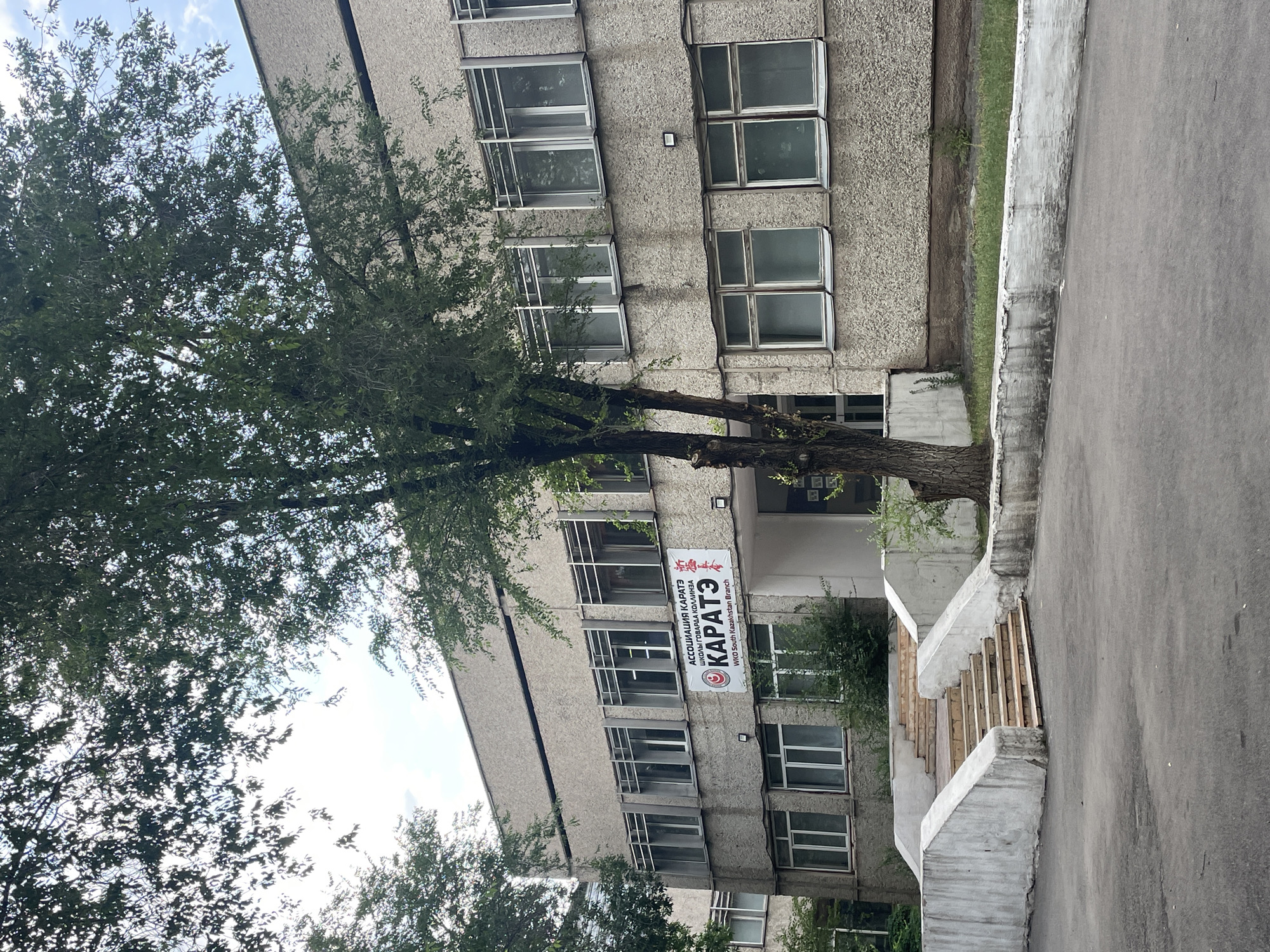 The image shows the exterior of a building, likely an educational or administrative facility, in Almaty, Kazakhstan. The building is constructed with a rough, textured grey material and features multiple rows of windows with metal frames. A banner is visible on the facade, displaying text in Cyrillic and English, indicating "ASSOCIATION KARATE SCHOOLS OF SOUTH KAZAKHSTAN" and "WKO South Kazakhstan Branch".
In front of the building, there is a concrete staircase with a weathered appearance, leading up to an entrance. The staircase is flanked by concrete retaining walls. Green trees with lush foliage are present in the foreground and partially obscure the building. The ground in front of the stairs is paved with asphalt. The sky above is partly cloudy. There are no people visible in the image. The scene suggests an outdoor view of a building entrance with surrounding vegetation.