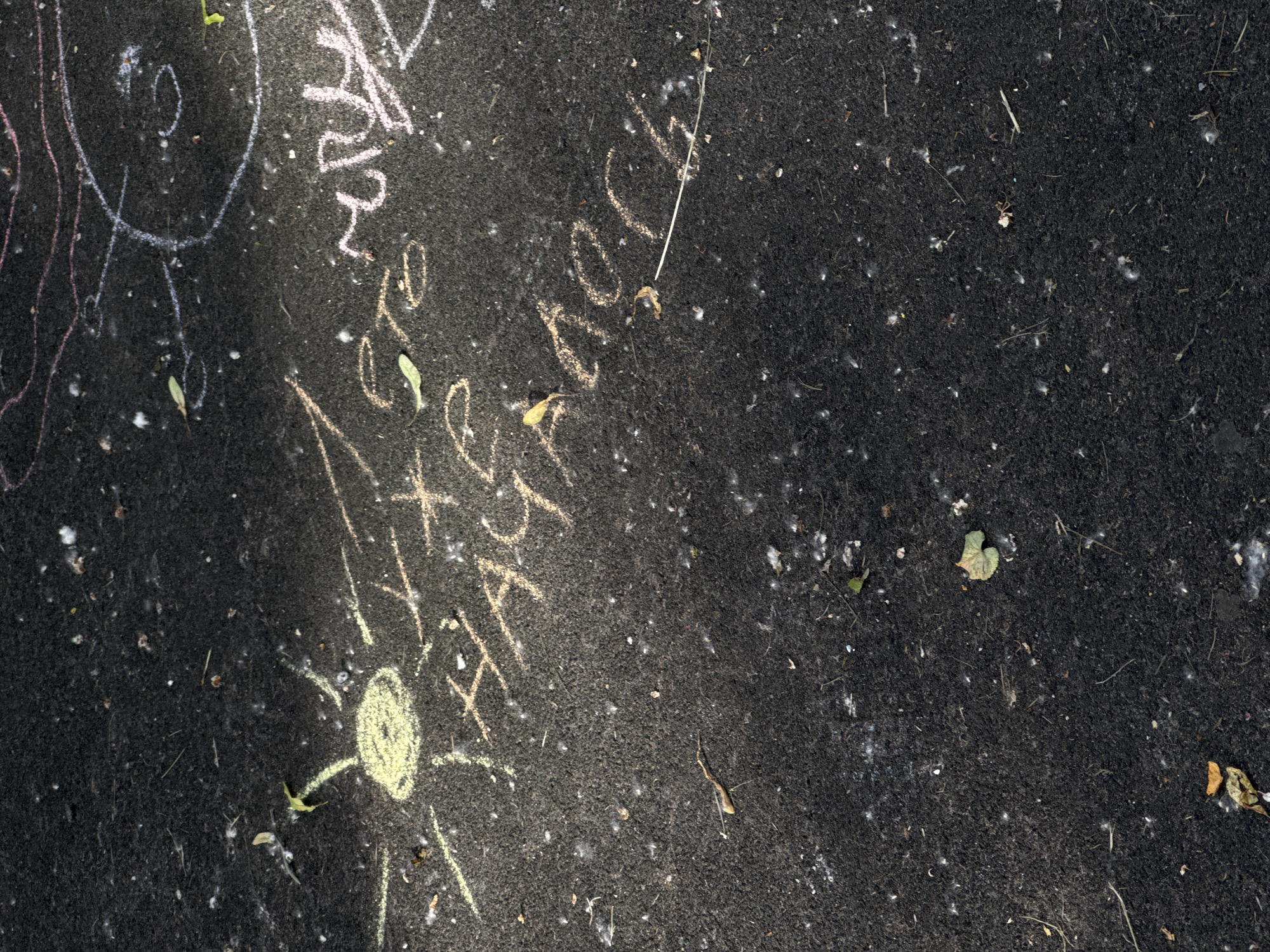 The image shows chalk drawings on a dark asphalt surface. A yellow chalk sun with rays is visible on the left side. To the right of the sun, there are handwritten chalk words in Russian. The writing appears to be "Я тоже научилась". Some pink and white chalk scribbles are also present. The asphalt is speckled with white debris, possibly bird droppings or cottonwood fluff, and a few fallen leaves are scattered on the surface. The lighting suggests an outdoor environment with sunlight casting shadows, indicating a daytime scene. The location is identified as being in Saint Petersburg, Russia, but specific details about the exact location within the city are not discernible from the image itself.