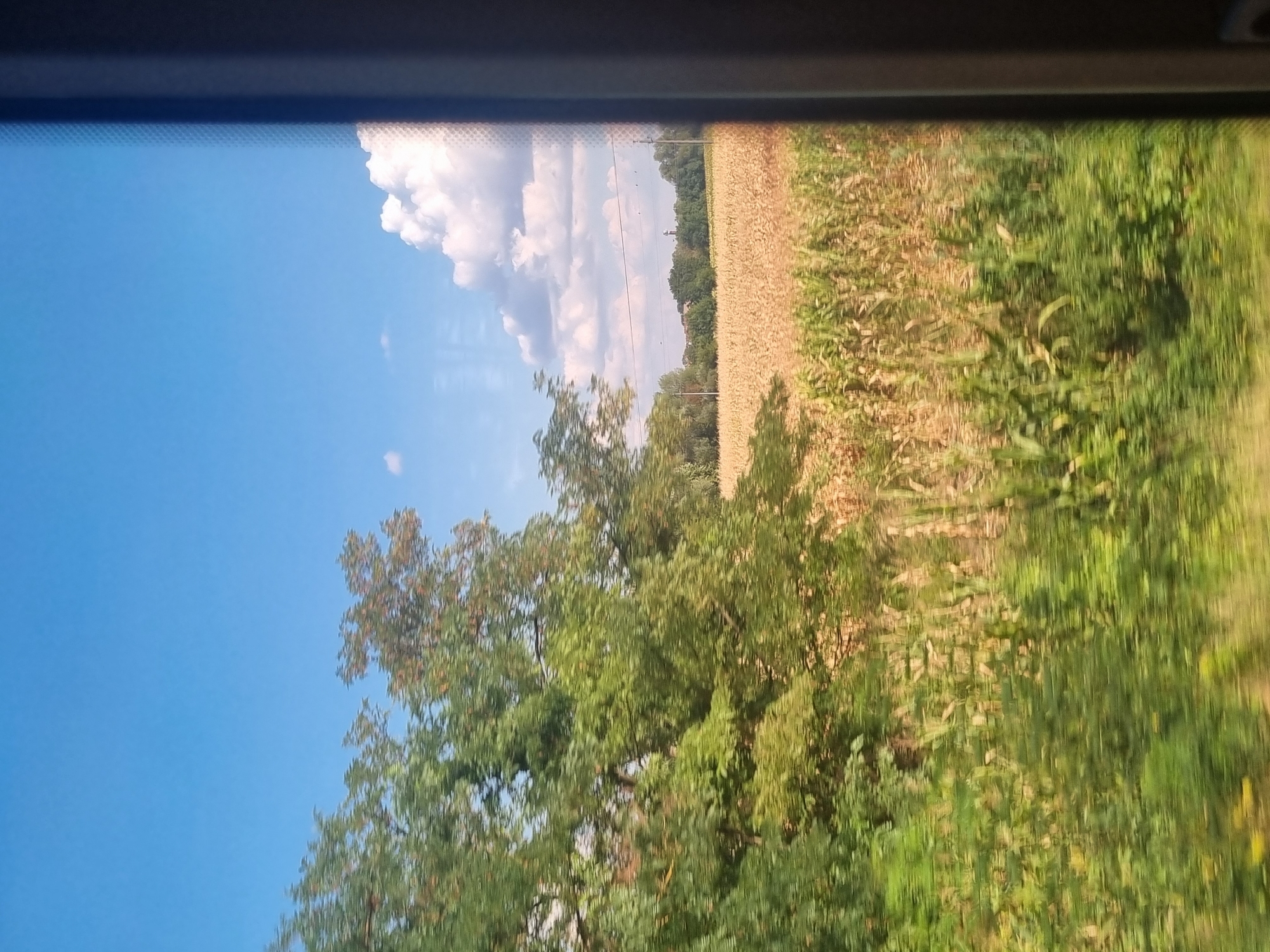 The image depicts a rural landscape under a clear blue sky with scattered white clouds. On the left, a dense cluster of green trees is visible, their leaves blurred due to motion. Beyond the trees, a large field of ripe crops, appearing golden brown, stretches across the midground. In the foreground, closer to the viewer, are rows of green plants, possibly corn, also showing motion blur. A dark, vertical object, likely part of a window frame, occupies the far right edge of the image, suggesting the photo was taken from a moving vehicle. The background features a line of trees and a few distant structures. The overall impression is of a sunny day in the countryside.