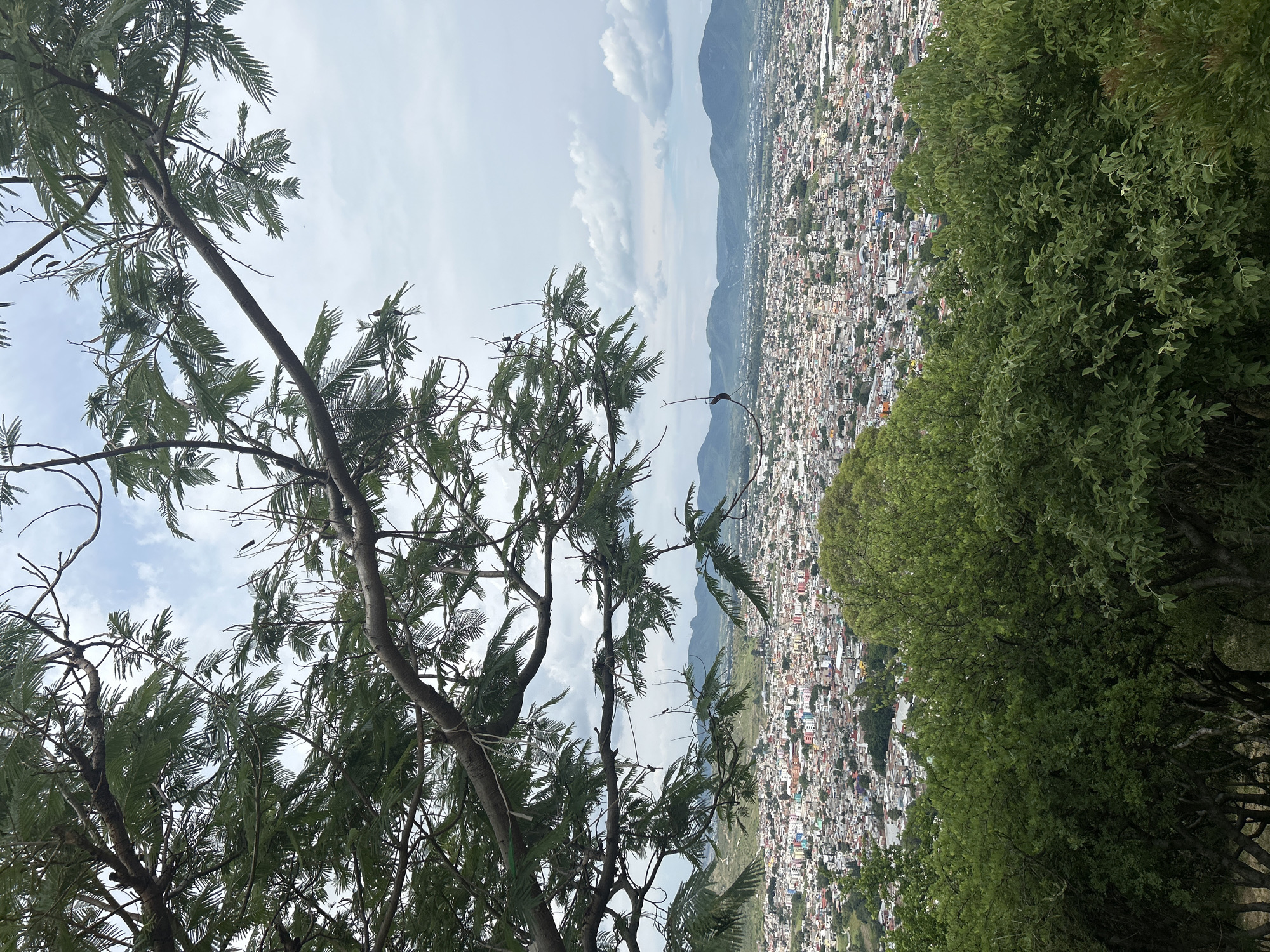 The image captures a high-angle panoramic view of the city of Atlixco, Mexico. In the foreground, lush green trees and branches partially obscure the scene, with the foliage of denser trees occupying the bottom portion of the frame. The middle ground reveals the sprawling urban landscape of Atlixco, characterized by a dense collection of buildings with varied roof colors, including white, red, and blue, interspersed with green spaces. Streets are visible, weaving through the cityscape. Beyond the city, a range of rolling hills and mountains form the background, under a sky filled with scattered clouds. The overall impression is one of a vibrant city nestled within a natural, hilly environment.