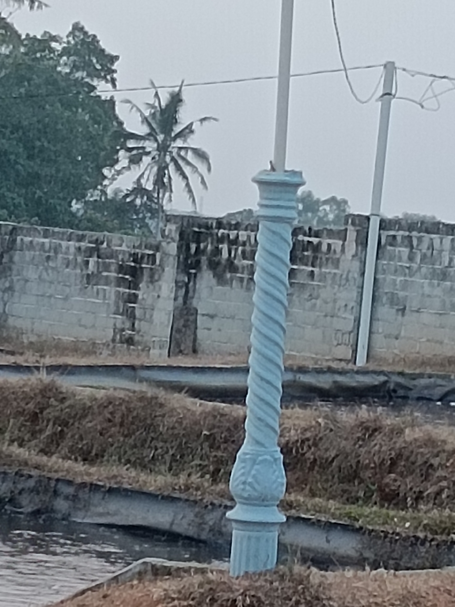 The image depicts a streetlamp with a decorative, twisted column in a somewhat overgrown outdoor setting. The streetlamp is light blue and has intricate detailing at its base, including what appears to be a carved floral pattern. Behind the streetlamp is a rough, stone wall that looks aged and possibly part of a construction site or historical structure. To the left of the wall, there are trees, one of which resembles a palm tree, suggesting a tropical or subtropical climate. The ground in the foreground is covered in dry grass and some areas of dark earth. A body of water, possibly a canal or ditch, is visible in the lower portion of the image. The sky is overcast, casting a soft, diffused light on the scene. There are no people or animals visible in the image. The overall impression is one of an undeveloped or partially developed area, possibly on the outskirts of a town or city. Based on the provided hint that the location is in the city of Tegal Gondo, Indonesia, this scene could be a streetlamp in a park, a roadside, or a public area within that Indonesian city.