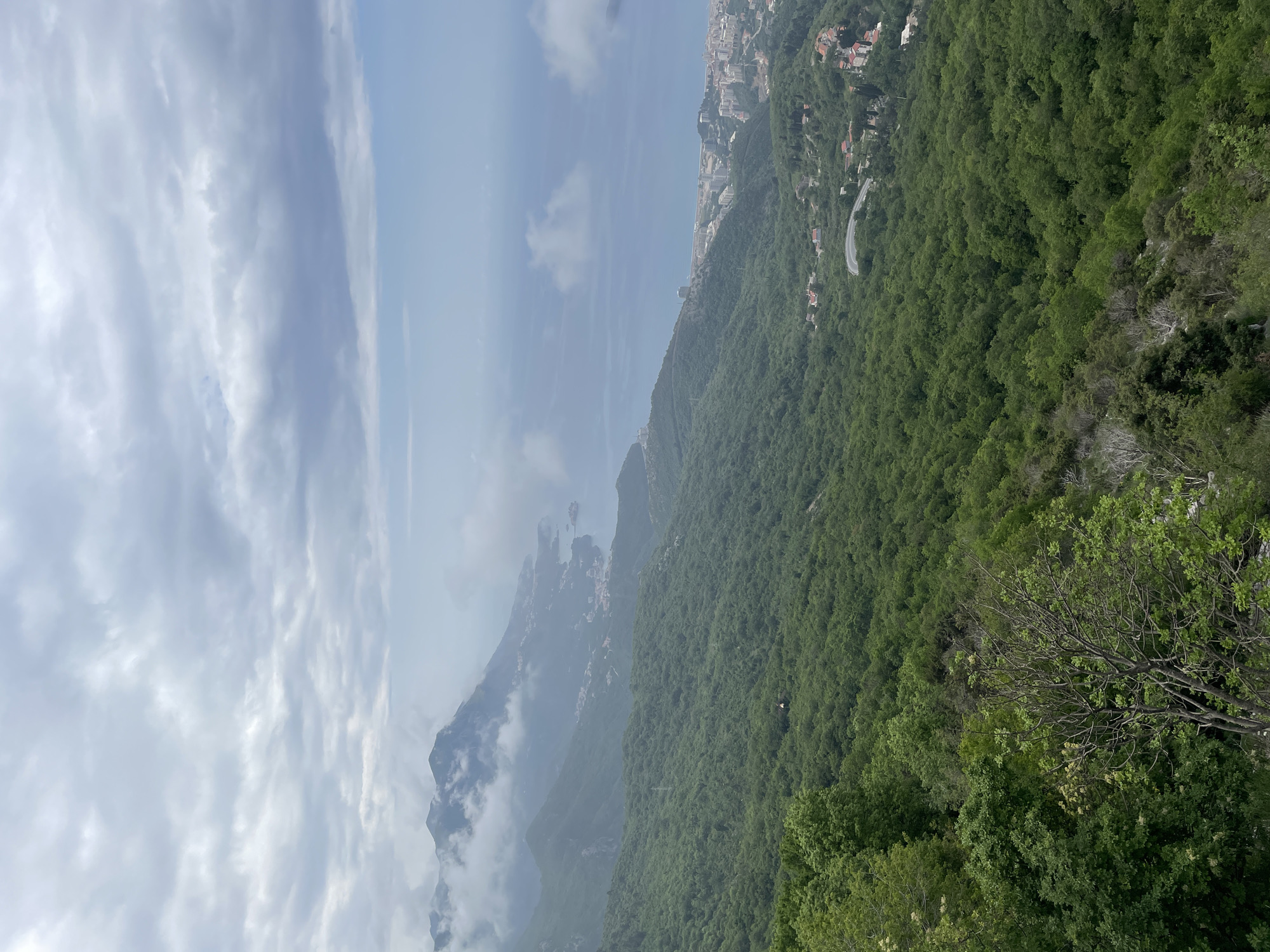 The image shows a scenic view from the city of Brajici, Montenegro. Lush, green, densely packed trees cover a steep hillside. In the distance, a coastal city with buildings can be seen. Further off, mountains are partially obscured by clouds. The sky is filled with white and gray clouds, and a sliver of clear blue sky can be seen at the top of the image. A road winds through the trees on the hillside.