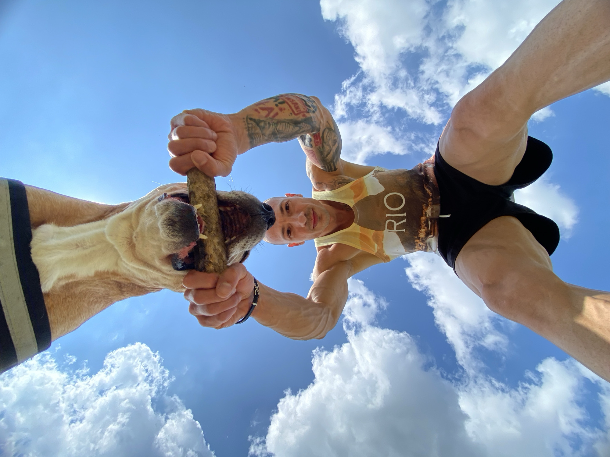 A low-angle, eye-level shot captures a man and his dog playing tug-of-war with a stick against a blue sky with scattered white clouds. The man, positioned at the upper right of the frame, is fair-skinned and bald, wearing a yellow tank top with the word "RIO" on it and black shorts. His muscular arms are extended downwards, gripping the stick. Tattoos are visible on his arms. The dog, located at the upper left of the frame, is light brown with a black collar and is also gripping the stick in its mouth. The background shows a bright blue sky with cumulus clouds, creating a dynamic contrast. There is no indication of location in Pleven, Bulgaria.